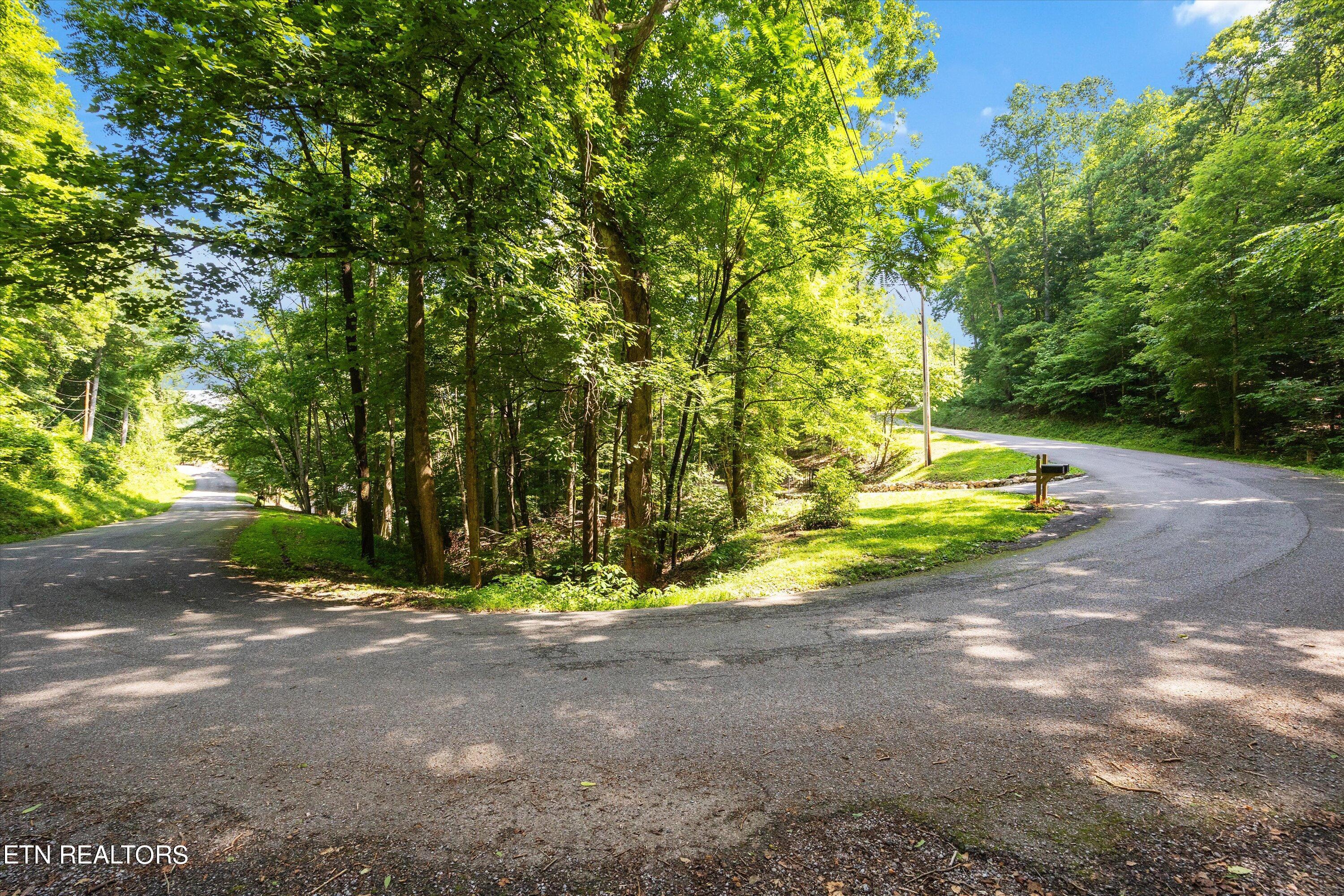 Norris Lake Real Estate - Image# 12