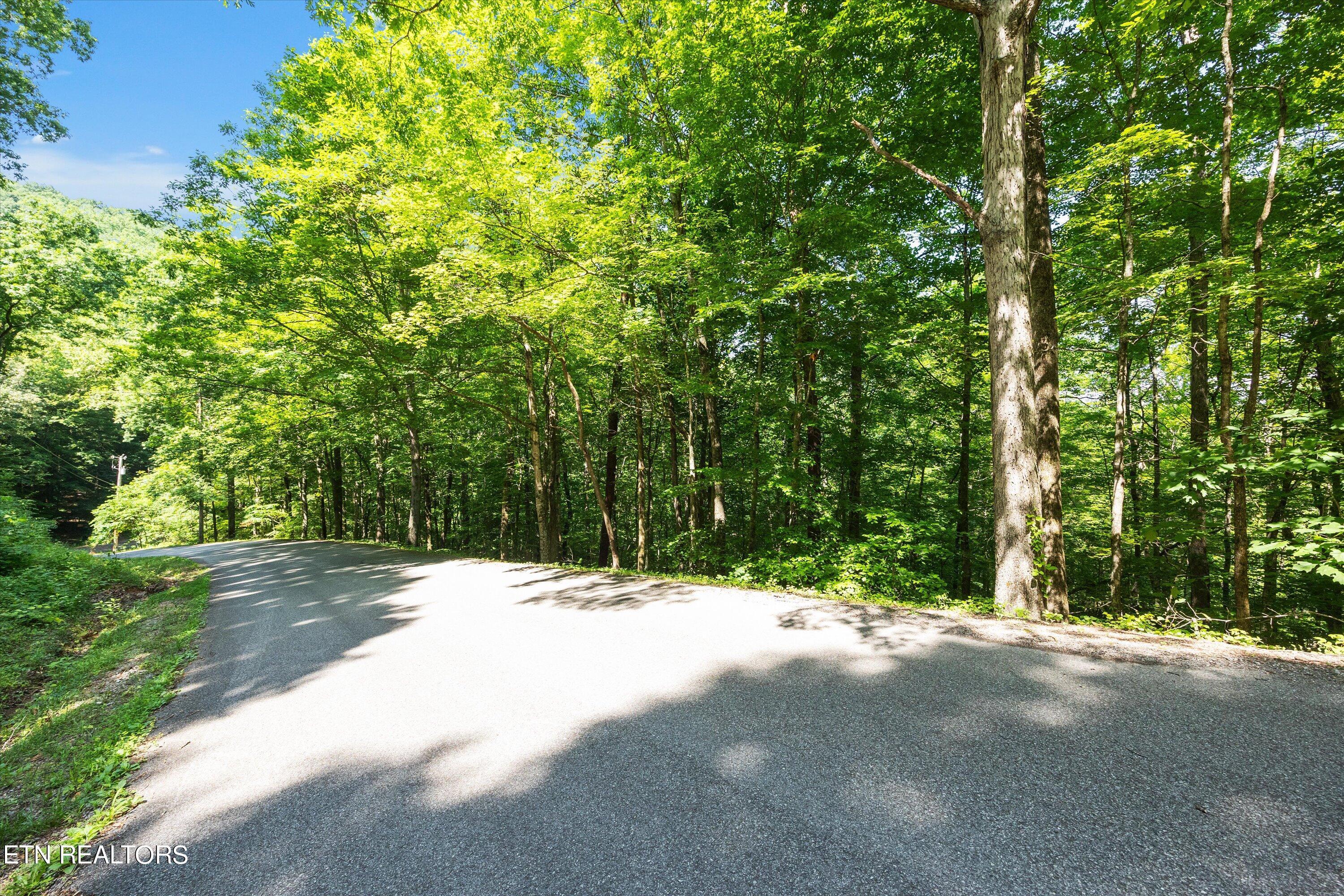 Norris Lake Real Estate - Image# 13