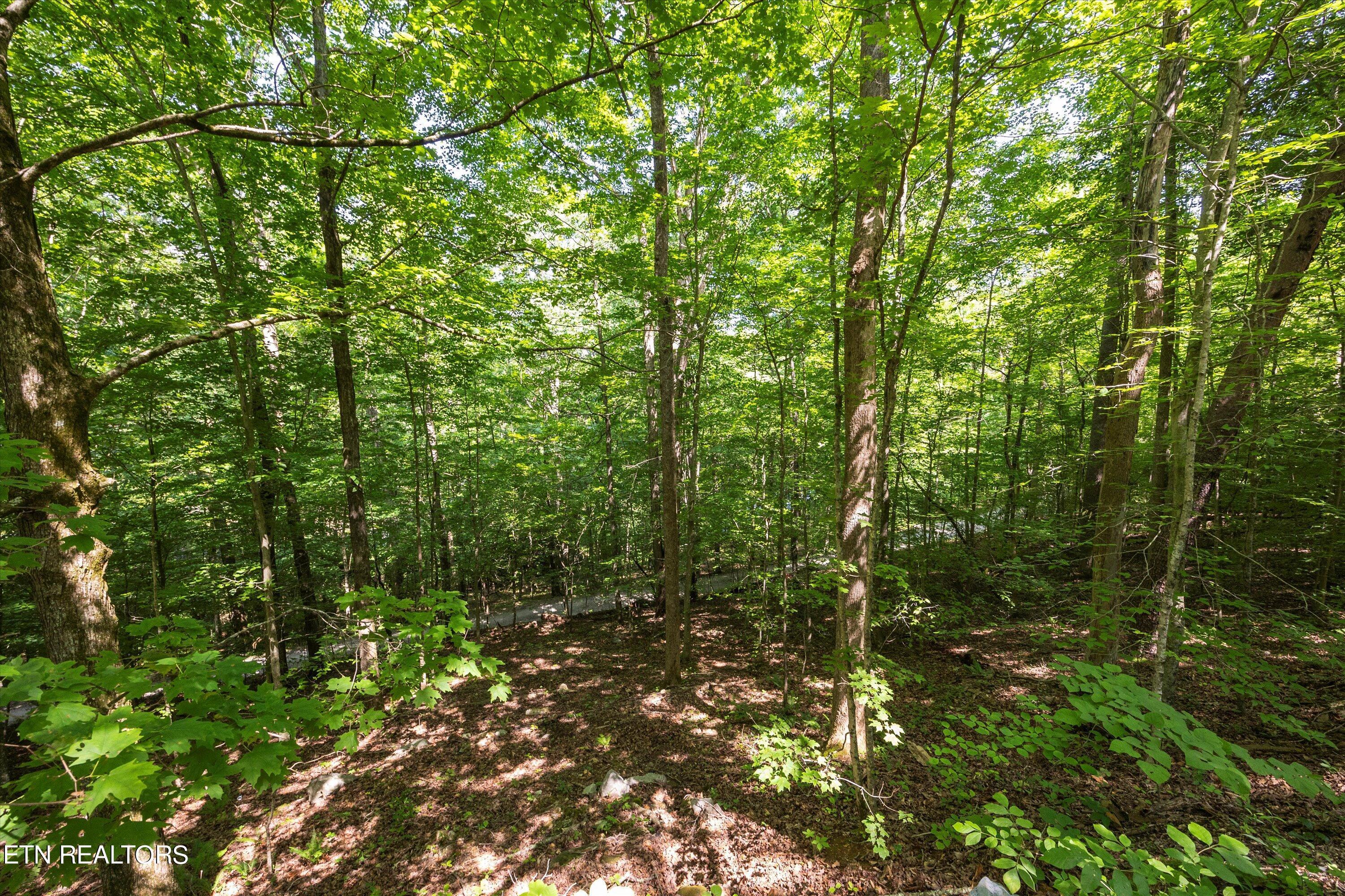 Norris Lake Real Estate - Image# 14