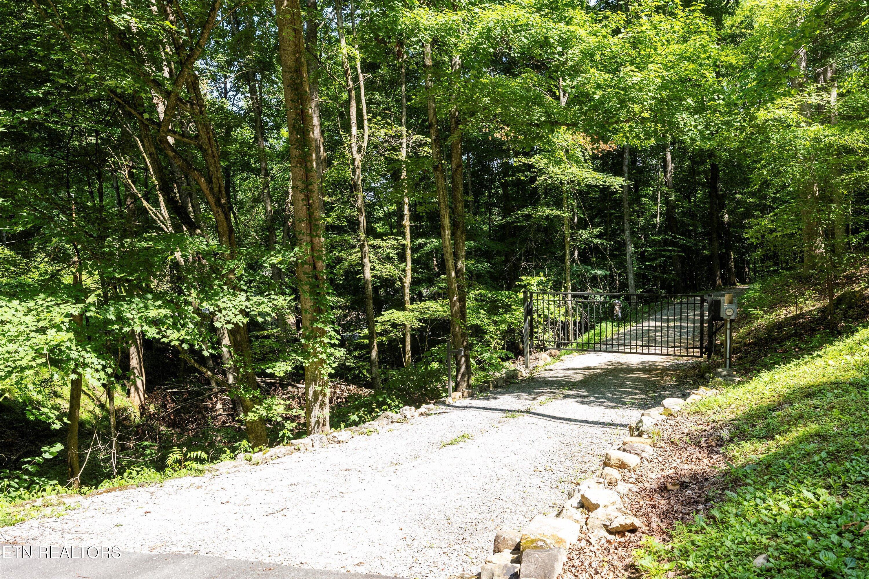 Norris Lake Real Estate - Image# 15