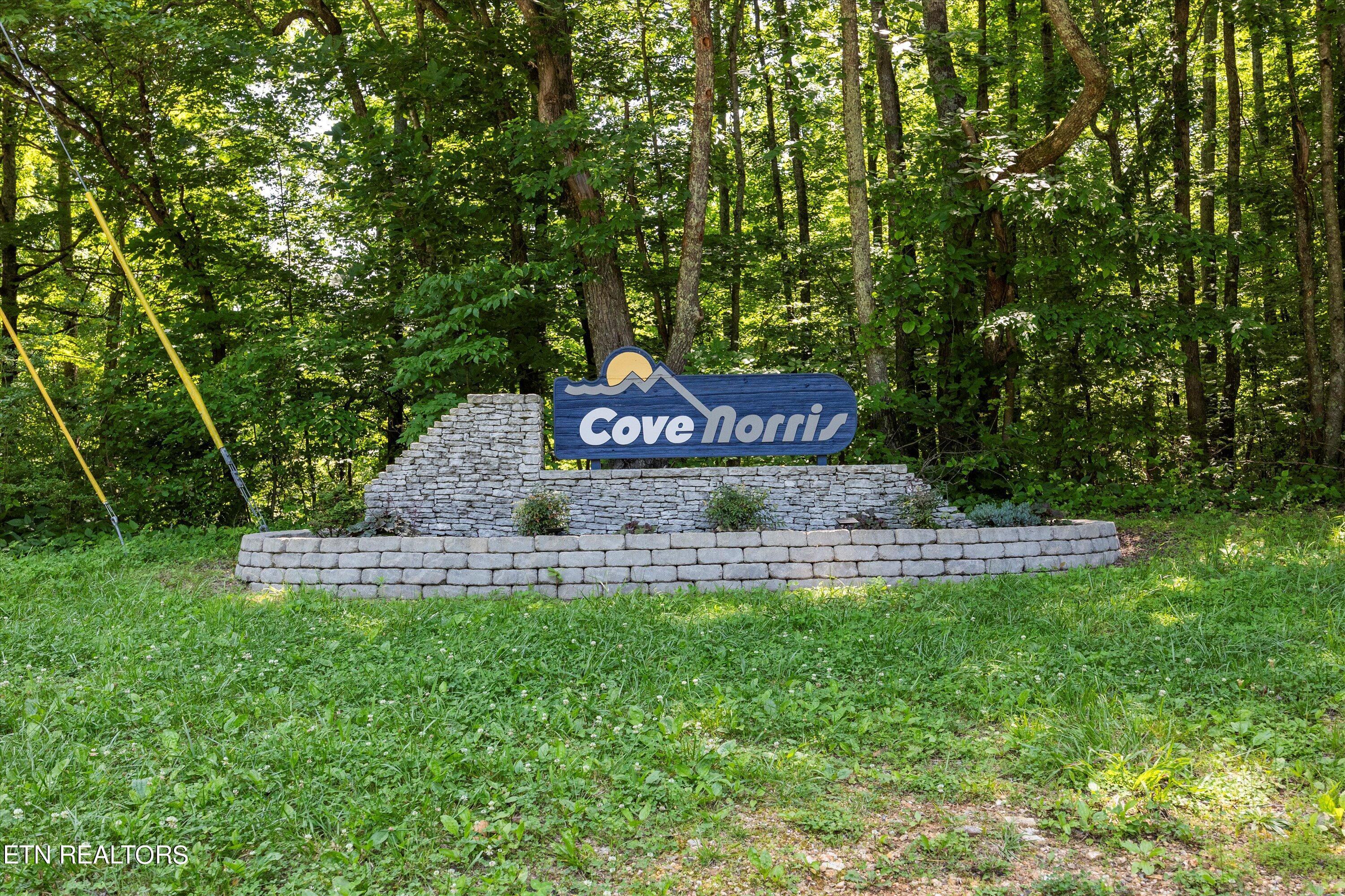 Norris Lake Real Estate - Image# 17
