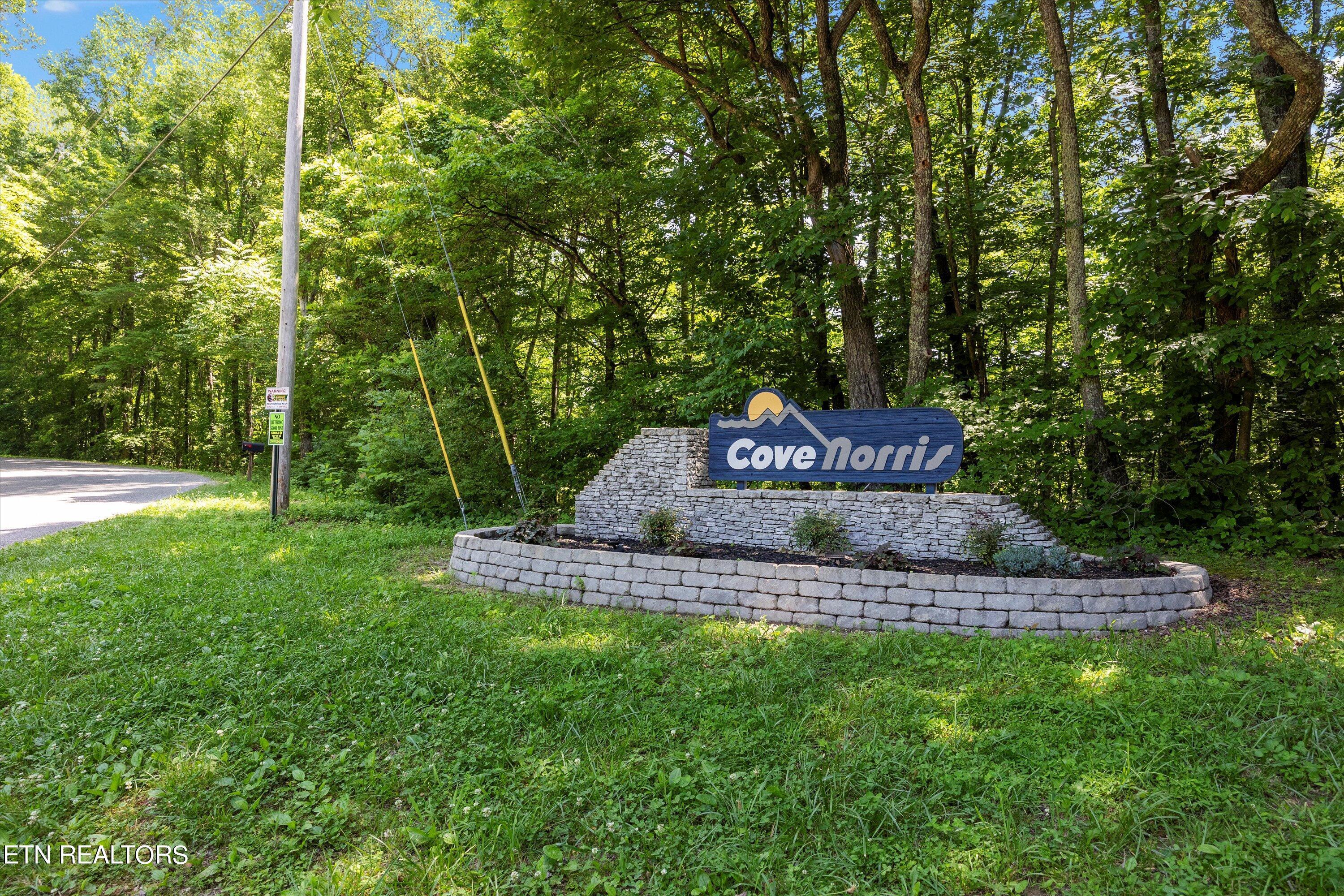 Norris Lake Real Estate - Image# 18