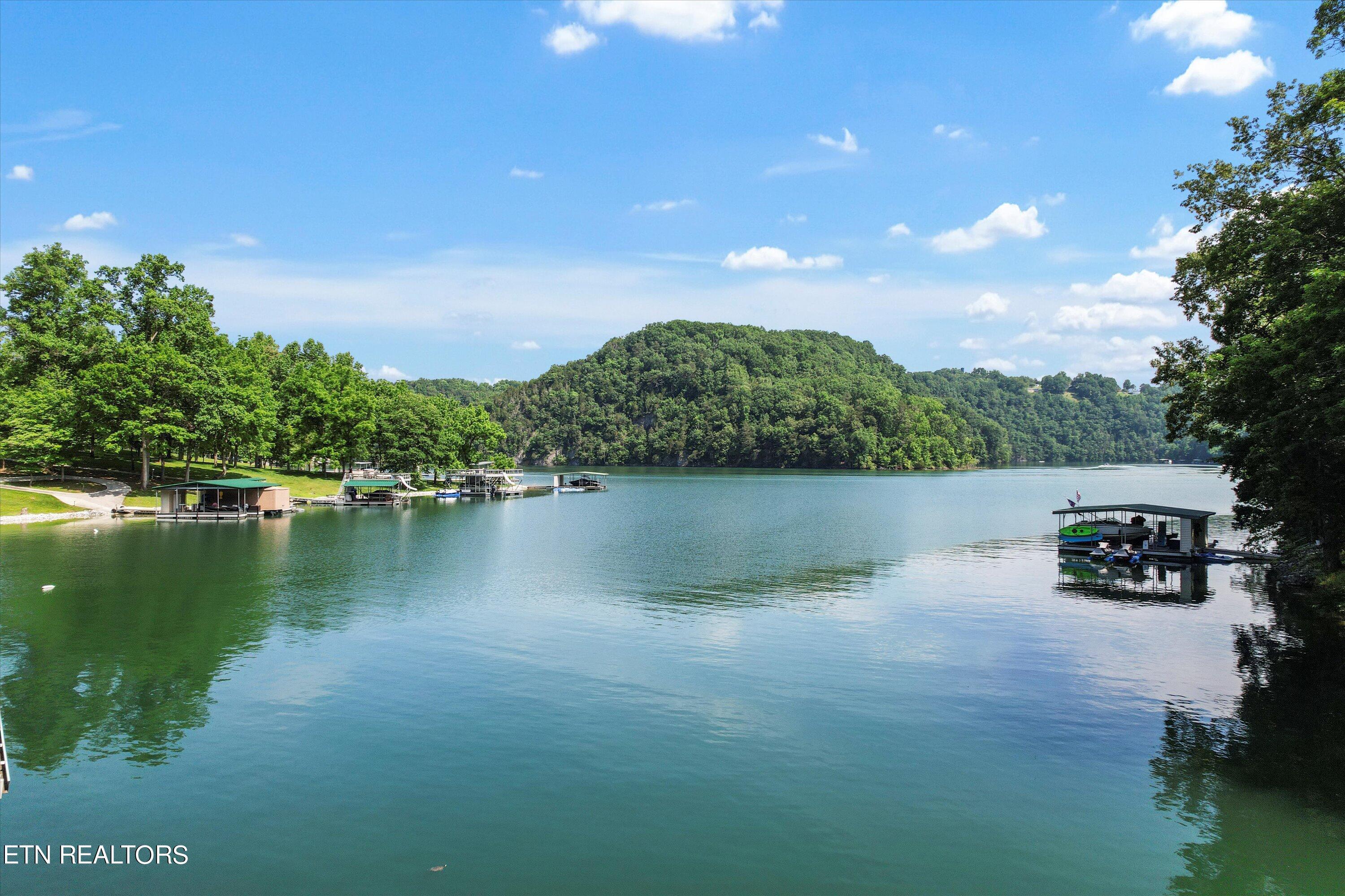 Norris Lake Real Estate - Image# 1