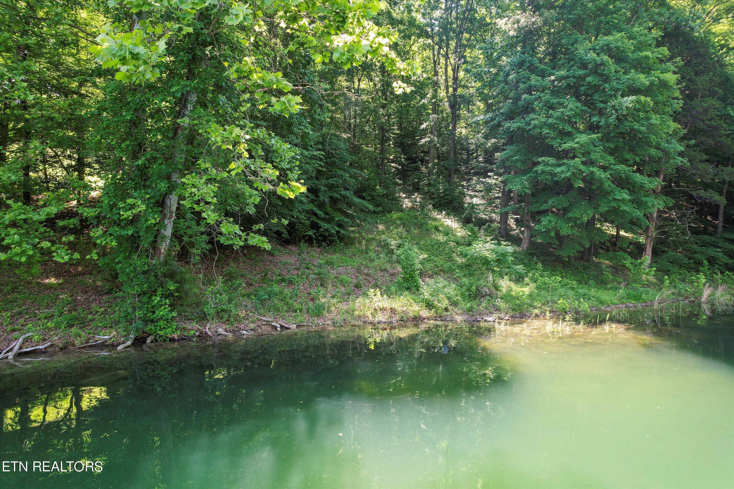 Norris Lake Real Estate - Image# 19