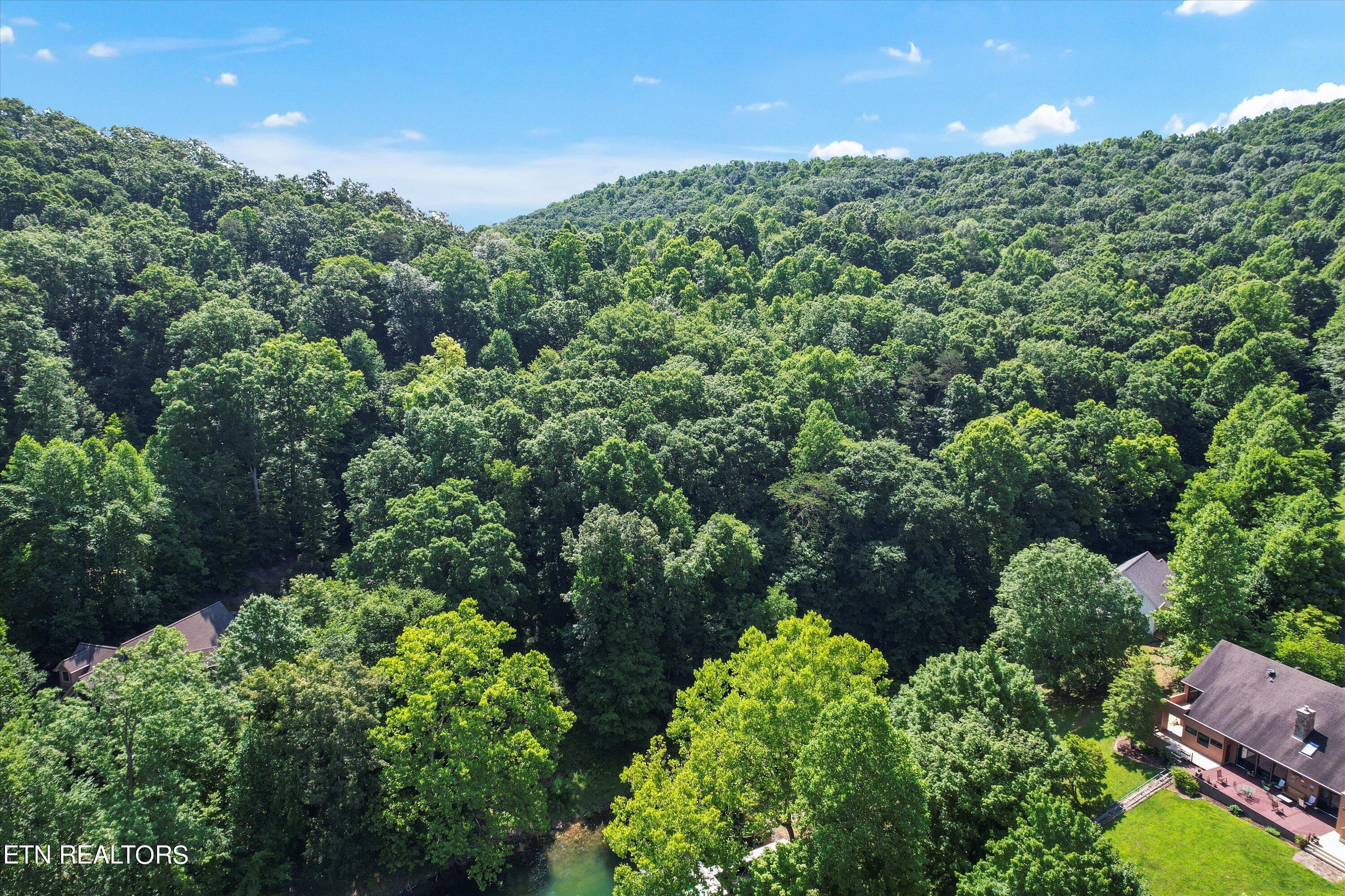 Norris Lake Real Estate - Image# 20