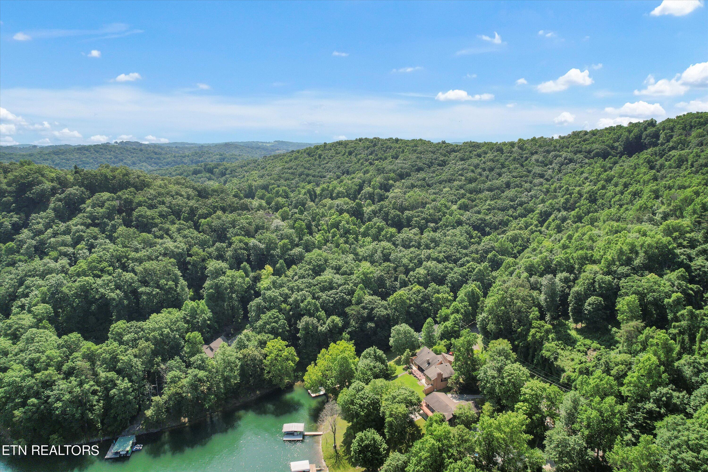 Norris Lake Real Estate - Image# 22