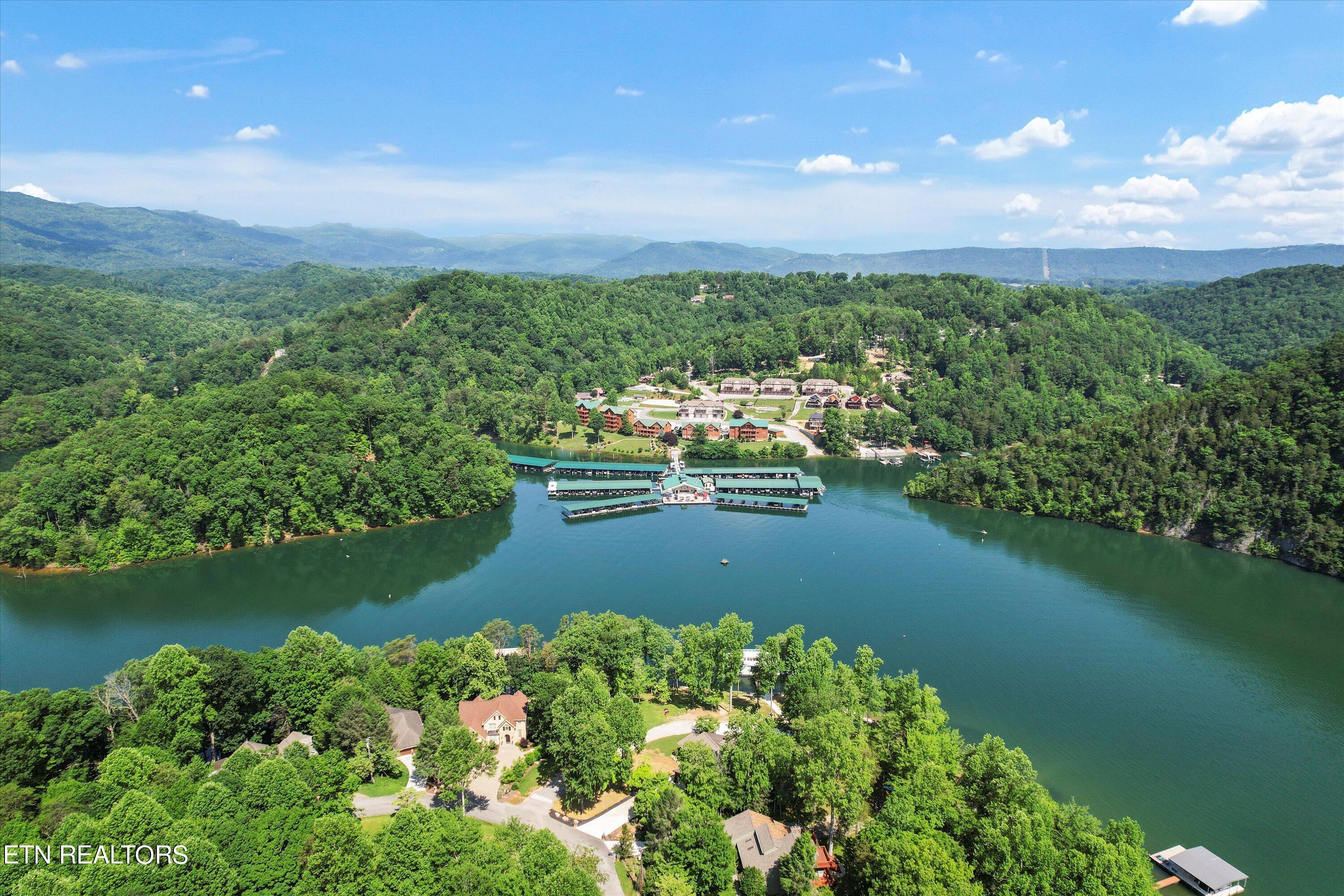 Norris Lake Real Estate - Image# 23