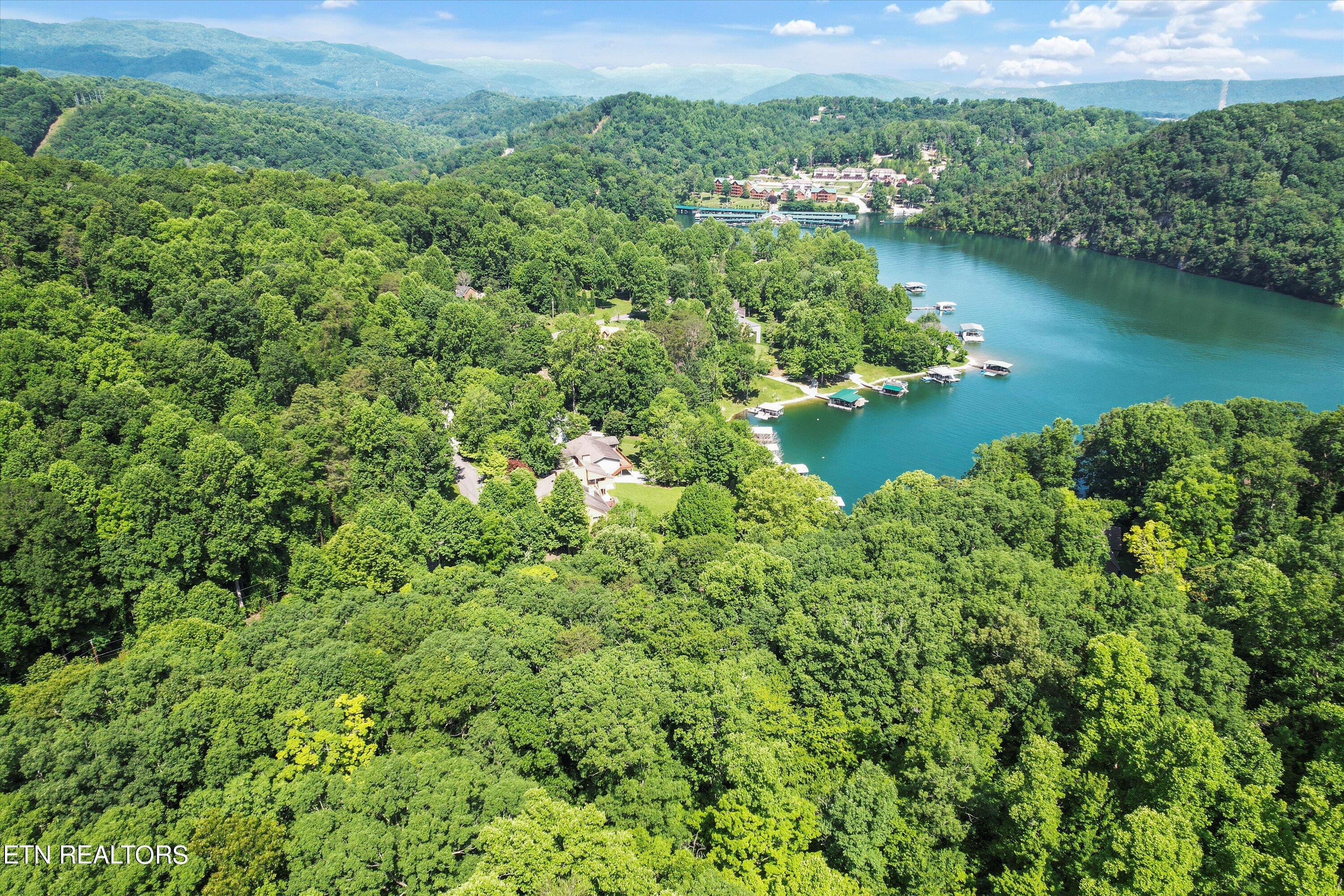Norris Lake Real Estate - Image# 25