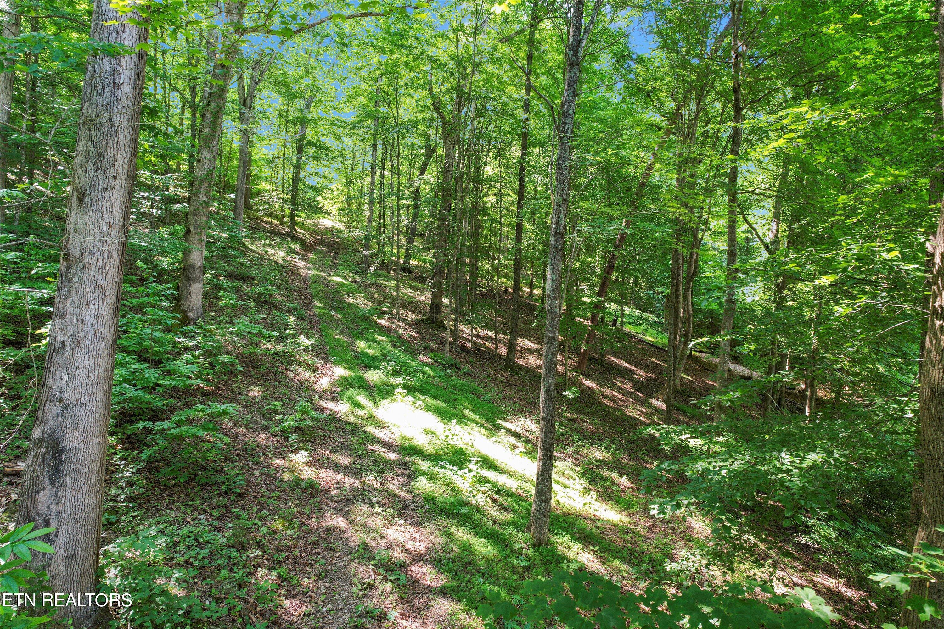 Norris Lake Real Estate - Image# 26