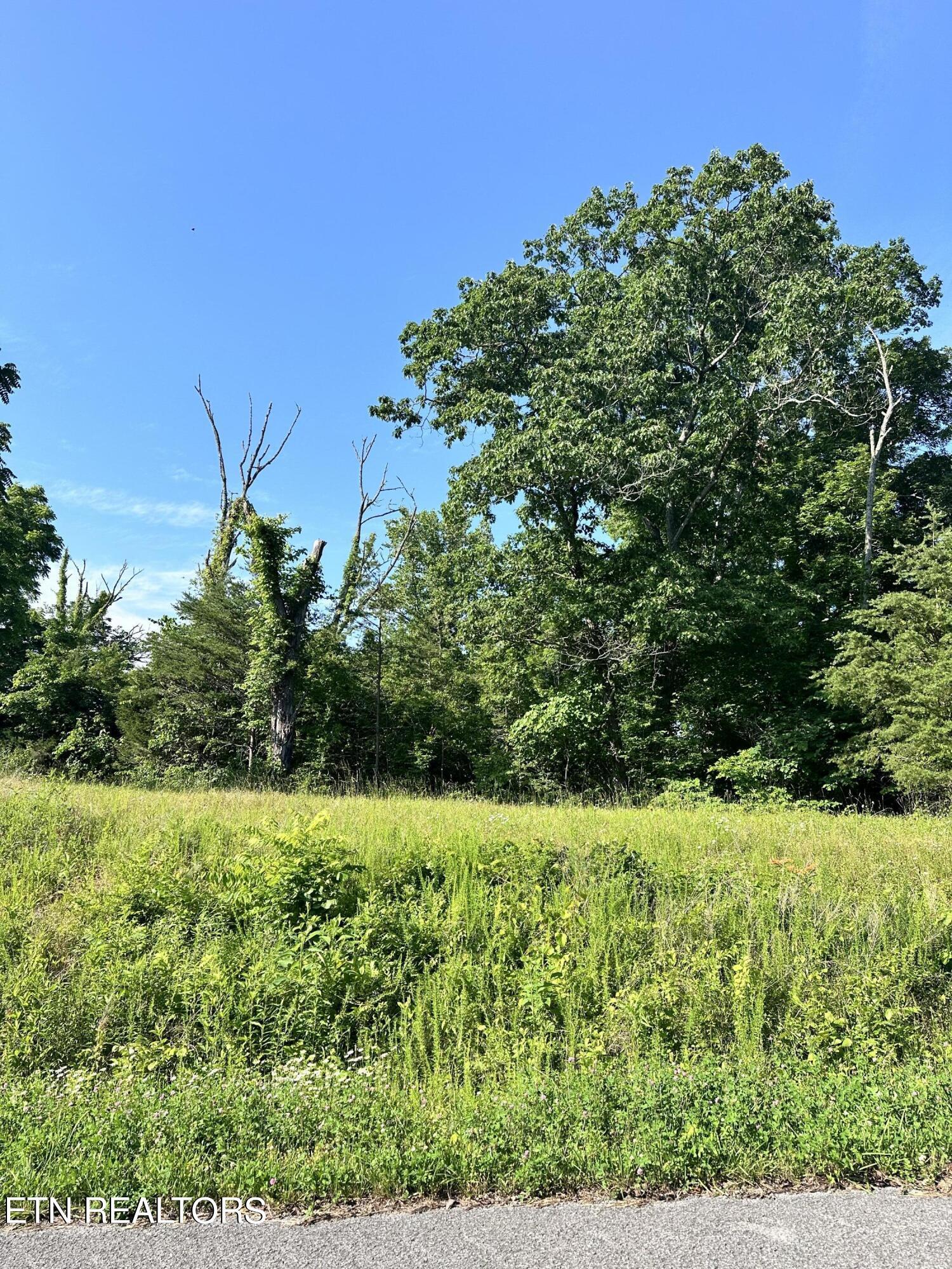 Lot 335A Larayne Hollow Rd, Sharps Chapel, TN - Norris Lake Real Estate - Image# 3