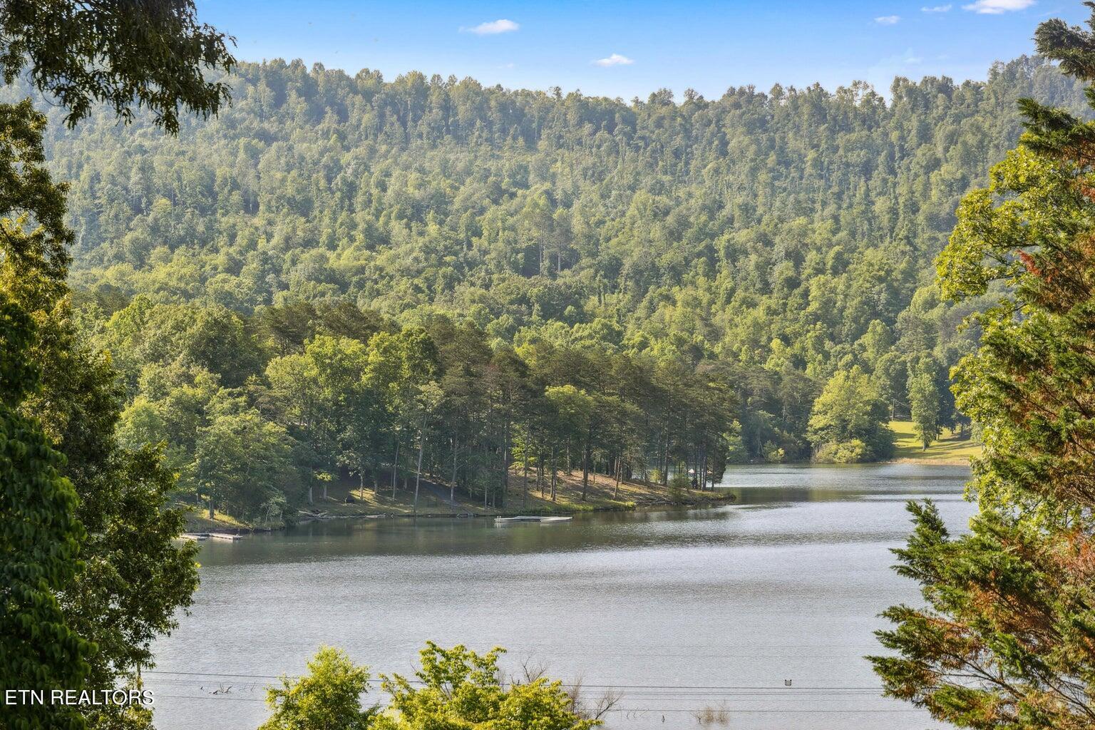 Norris Lake Real Estate - Image# 23