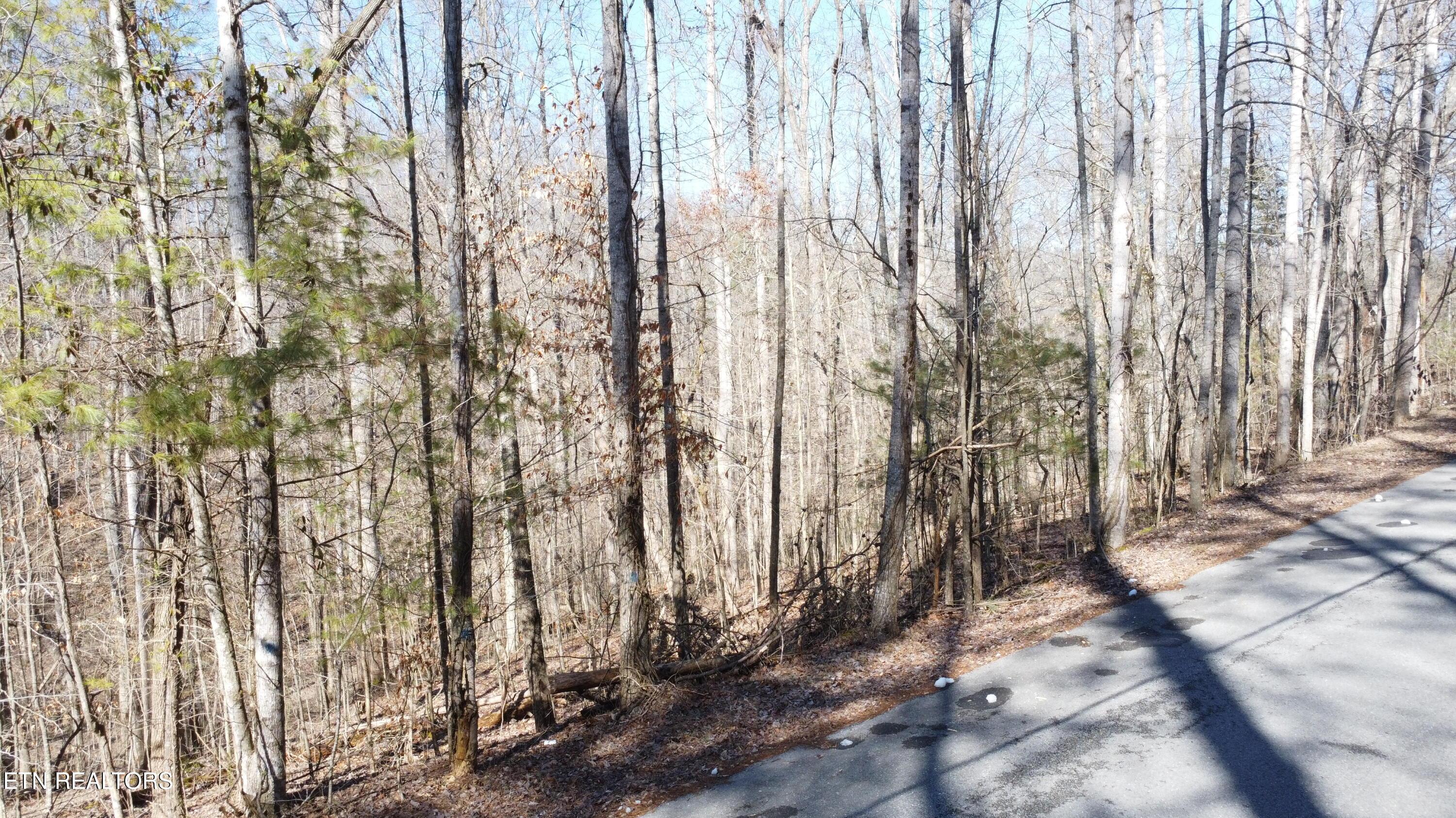 Lot 61 Hiwassee View Drive, Jacksboro, TN - Norris Lake Real Estate - Image# 7
