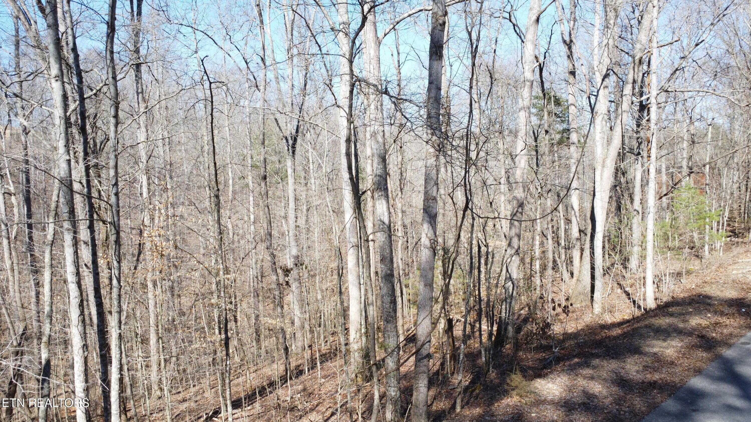 Lot 61 Hiwassee View Drive, Jacksboro, TN - Norris Lake Real Estate - Image# 16