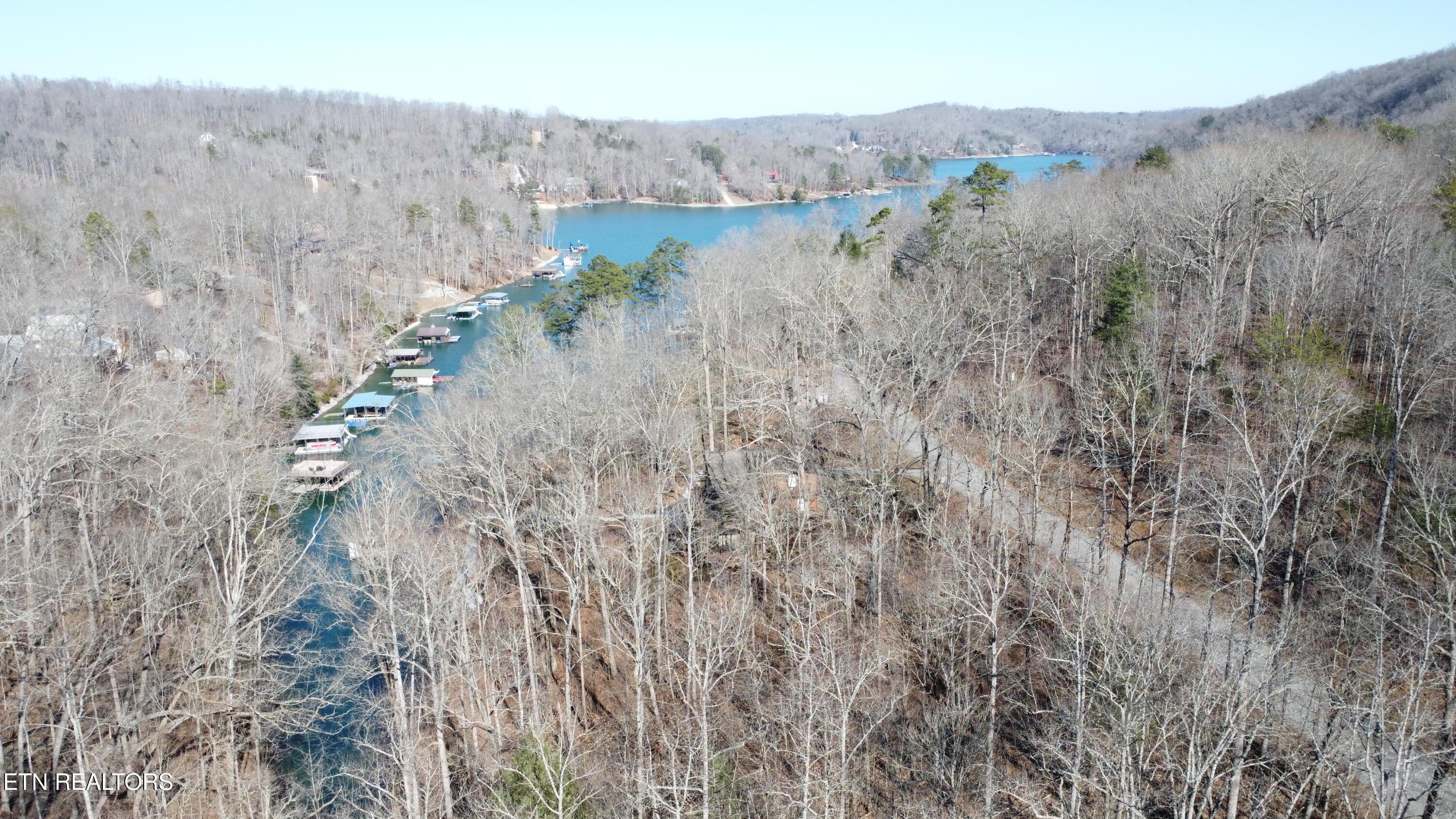 Lot 61 Hiwassee View Drive, Jacksboro, TN - Norris Lake Real Estate - Image# 17