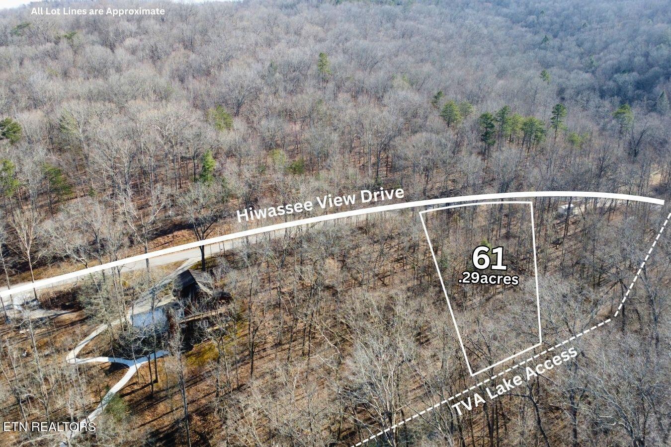 Lot 61 Hiwassee View Drive, Jacksboro, TN - Norris Lake Real Estate - Image# 2