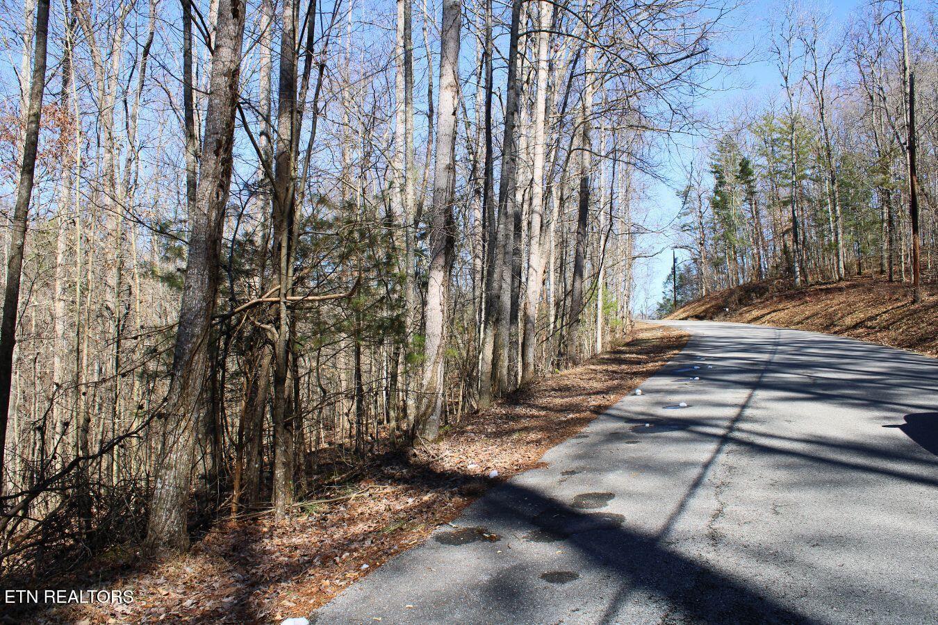 Lot 61 Hiwassee View Drive, Jacksboro, TN - Norris Lake Real Estate - Image# 11