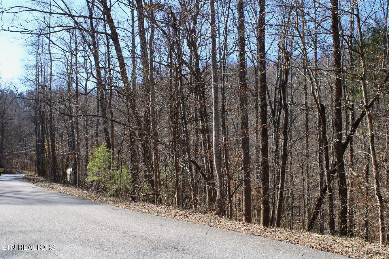 Lot 61 Hiwassee View Drive, Jacksboro, TN - Norris Lake Real Estate - Image# 15