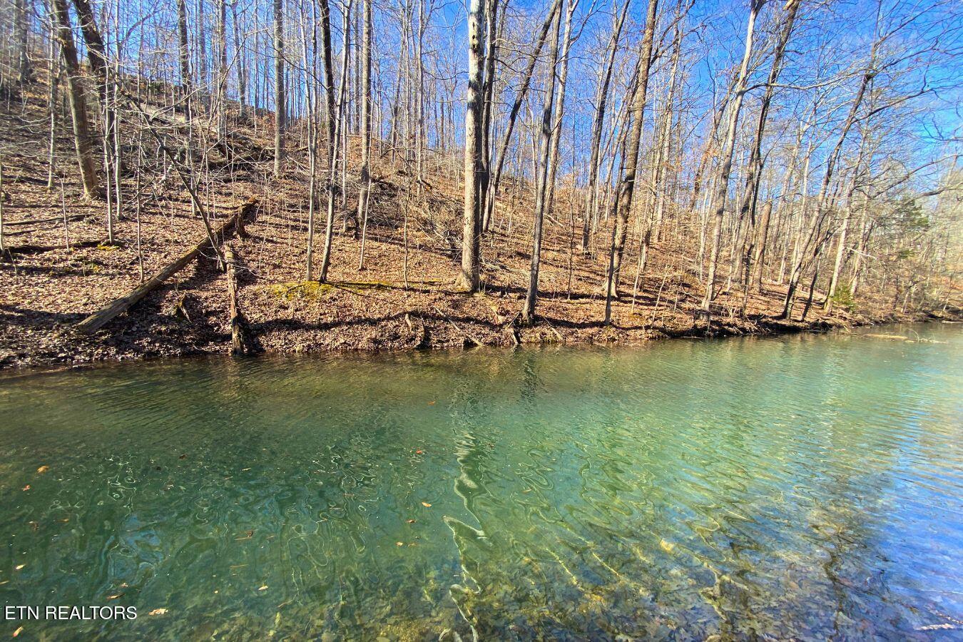 Lot 61 Hiwassee View Drive, Jacksboro, TN - Norris Lake Real Estate - Image# 8