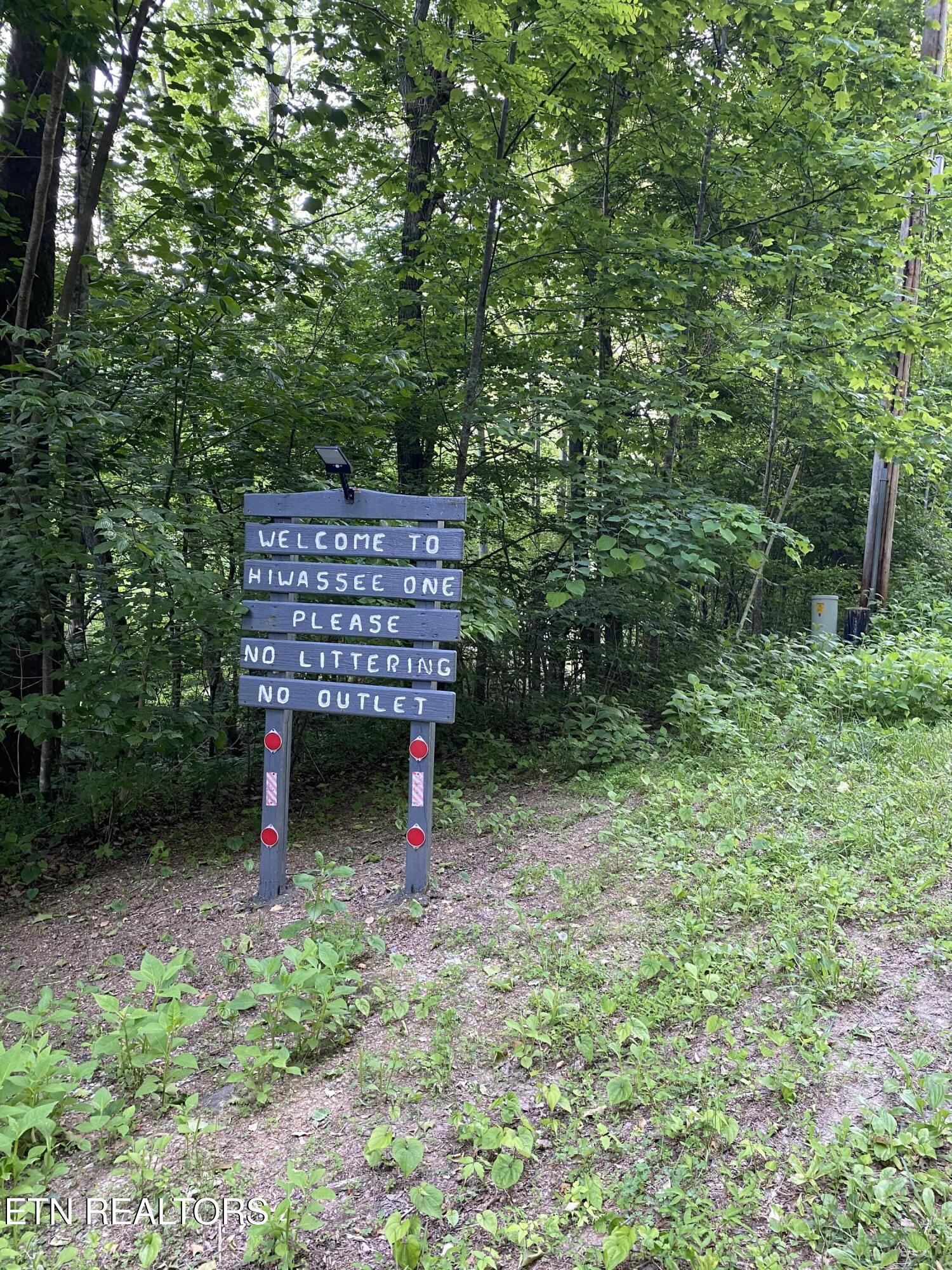 Lot 61 Hiwassee View Drive, Jacksboro, TN - Norris Lake Real Estate - Image# 23