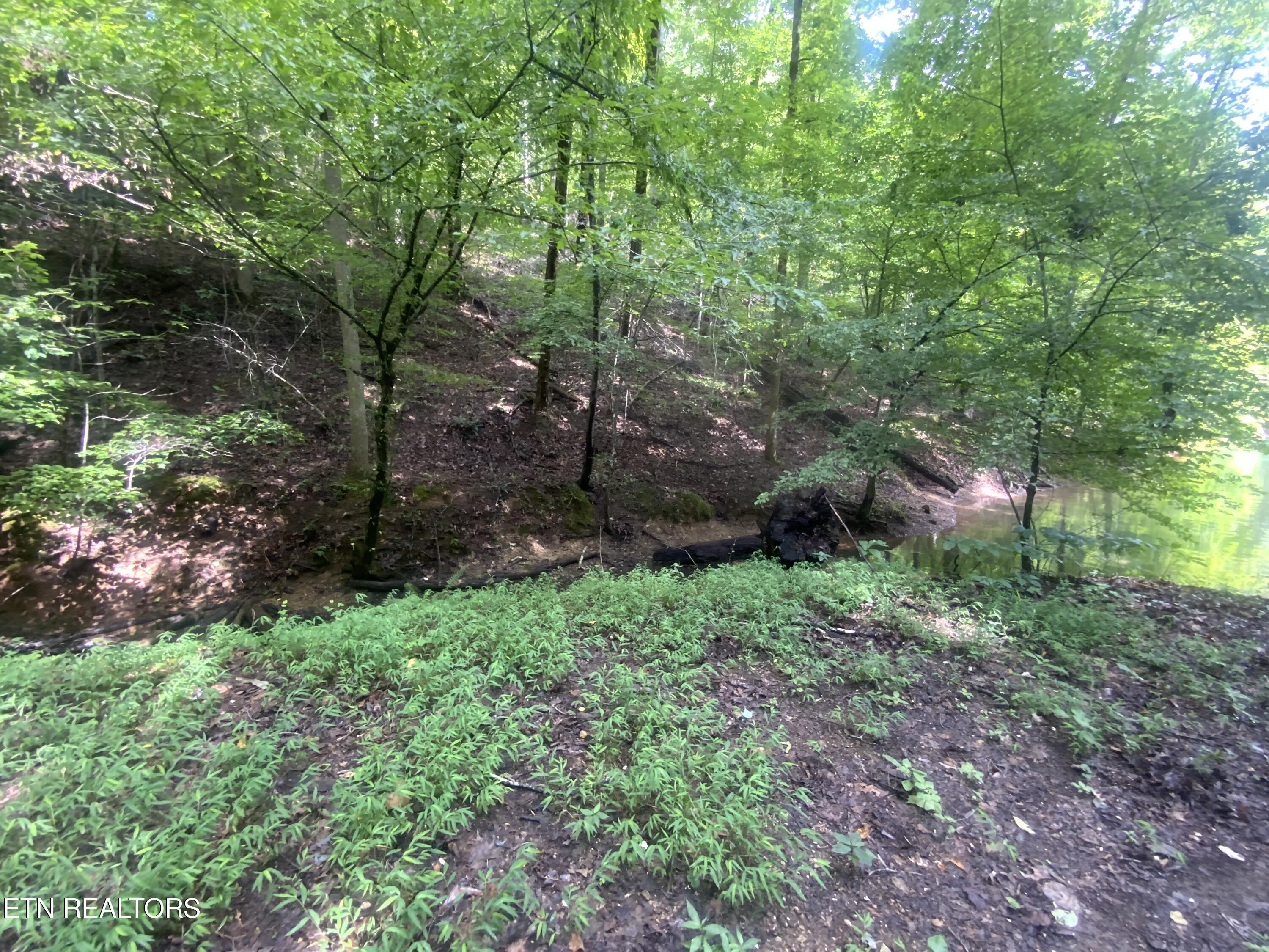 Lot 63 Hiwassee View Drive, Jacksboro, TN - Norris Lake Real Estate - Image# 5