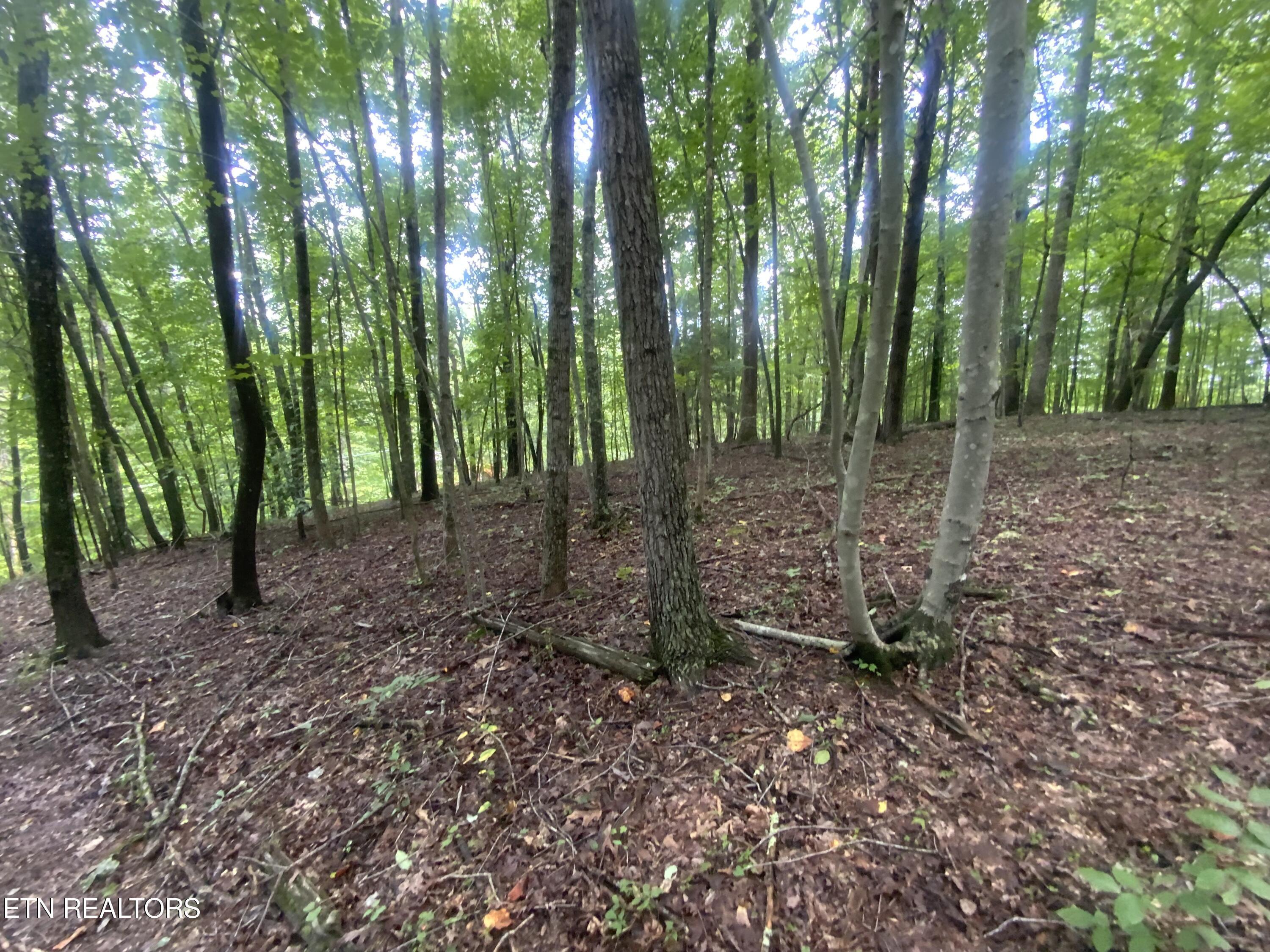 Lot 121 Hiwassee View Drive, Jacksboro, TN - Norris Lake Real Estate - Image# 1