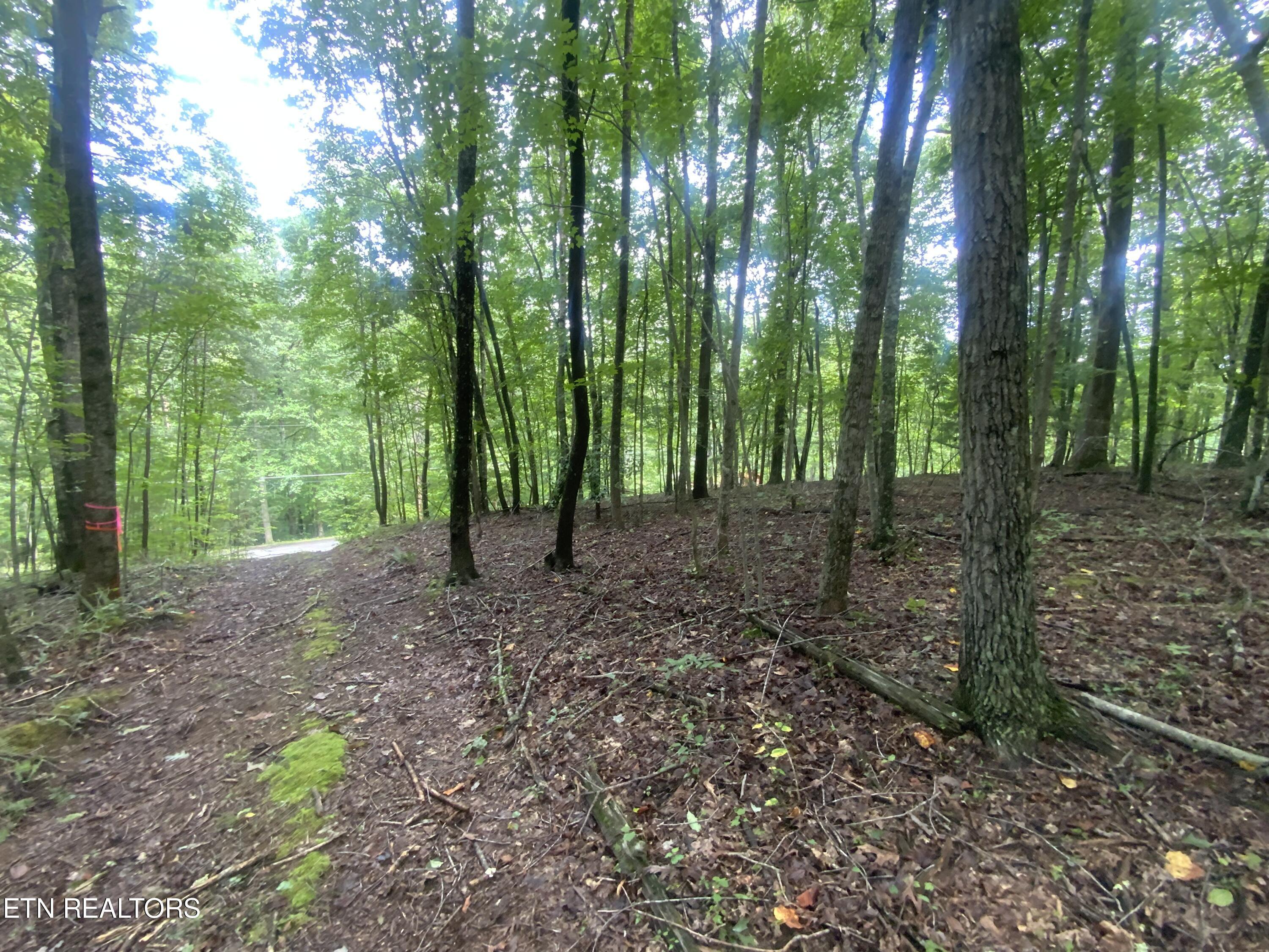 Lot 121 Hiwassee View Drive, Jacksboro, TN - Norris Lake Real Estate - Image# 2