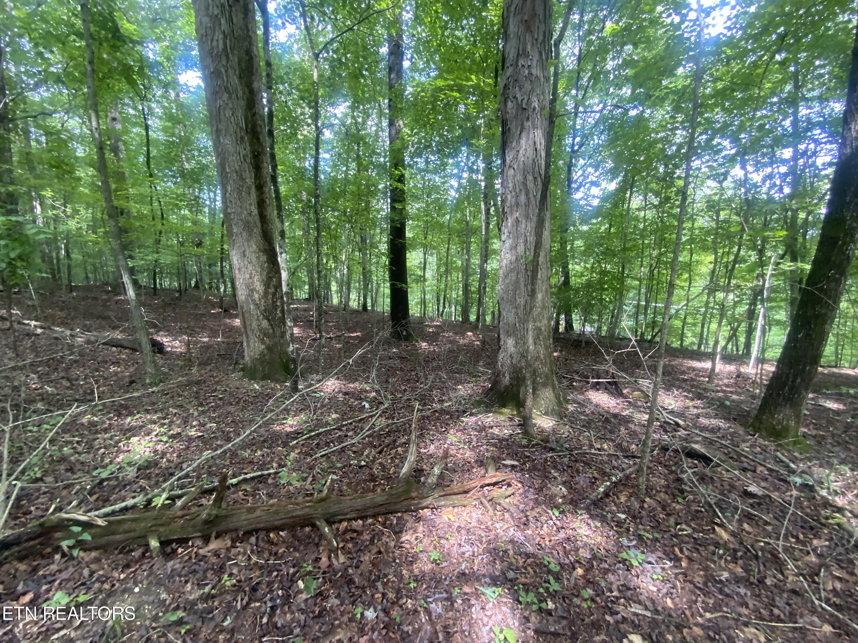 Lot 121 Hiwassee View Drive, Jacksboro, TN - Norris Lake Real Estate - Image# 4