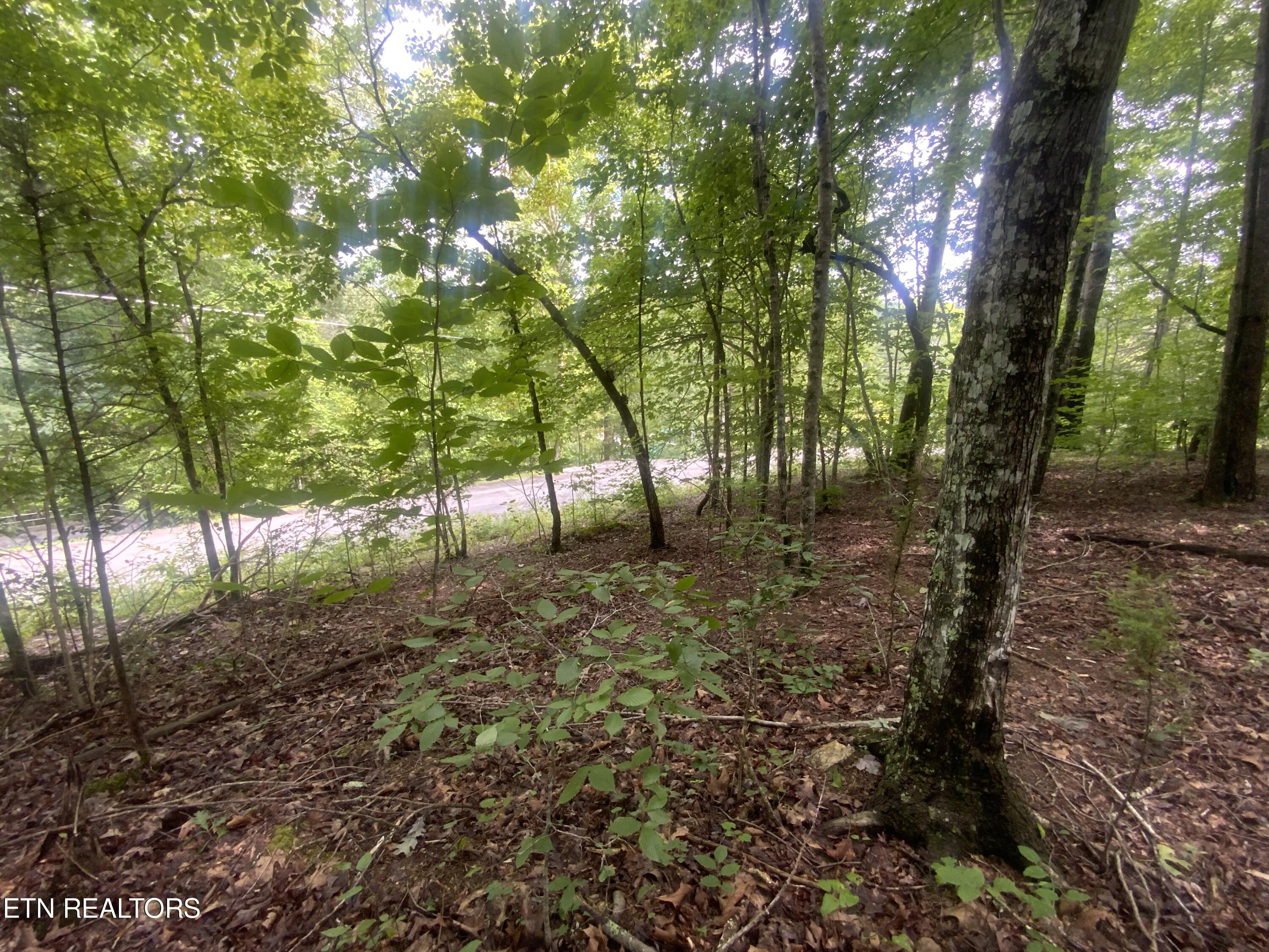 Lot 121 Hiwassee View Drive, Jacksboro, TN - Norris Lake Real Estate - Image# 6