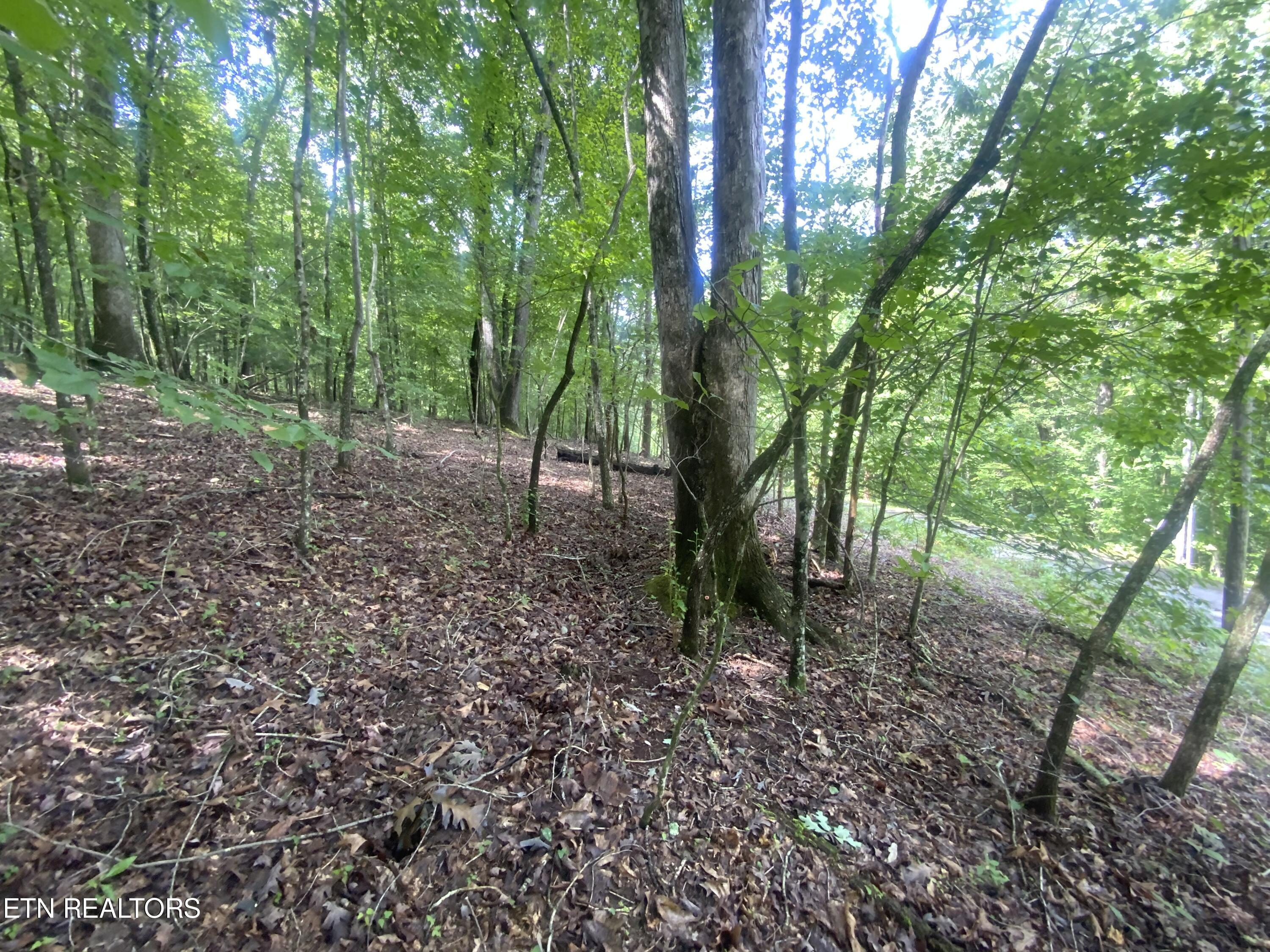 Lot 121 Hiwassee View Drive, Jacksboro, TN - Norris Lake Real Estate - Image# 7