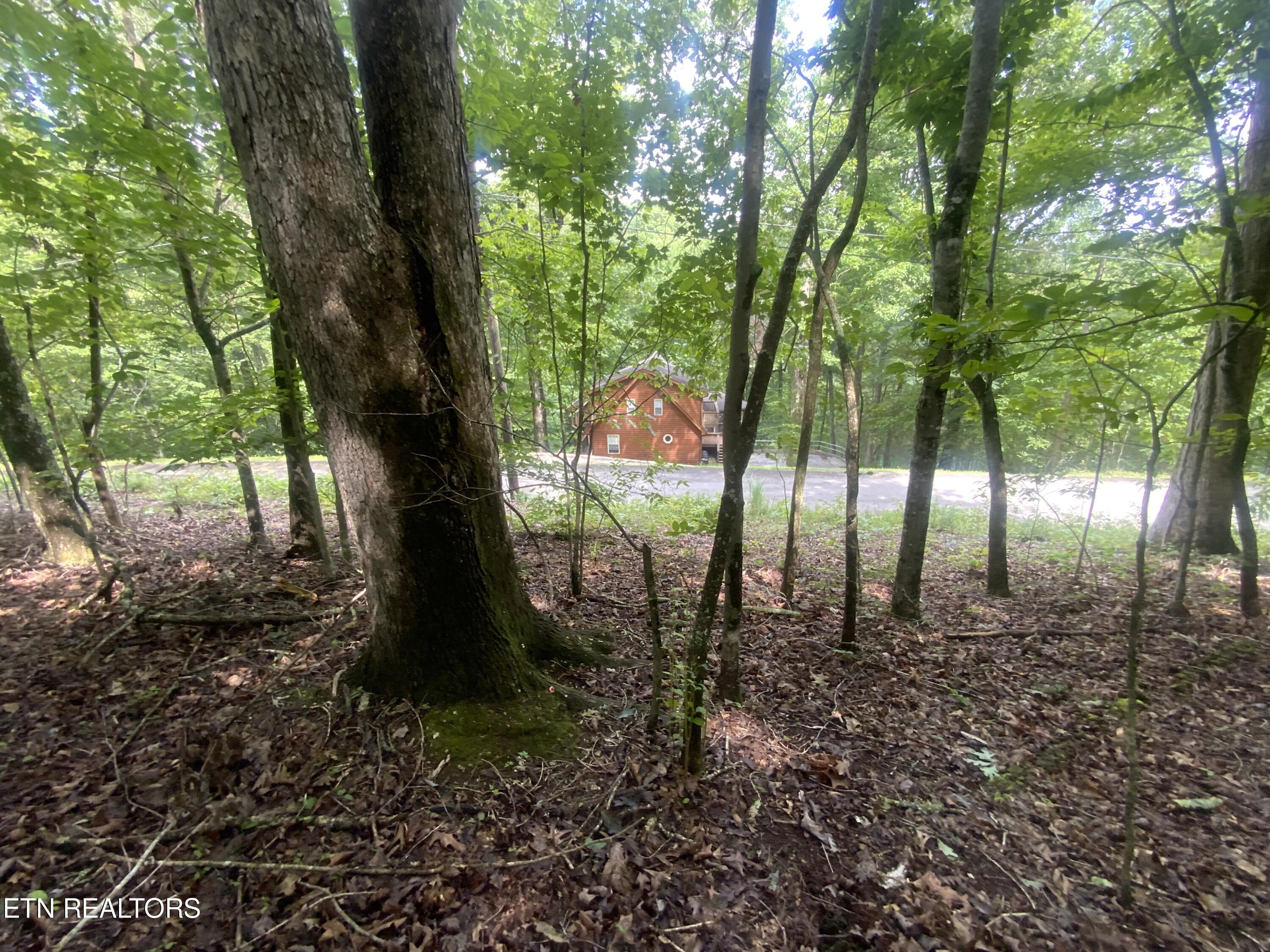 Lot 121 Hiwassee View Drive, Jacksboro, TN - Norris Lake Real Estate - Image# 9