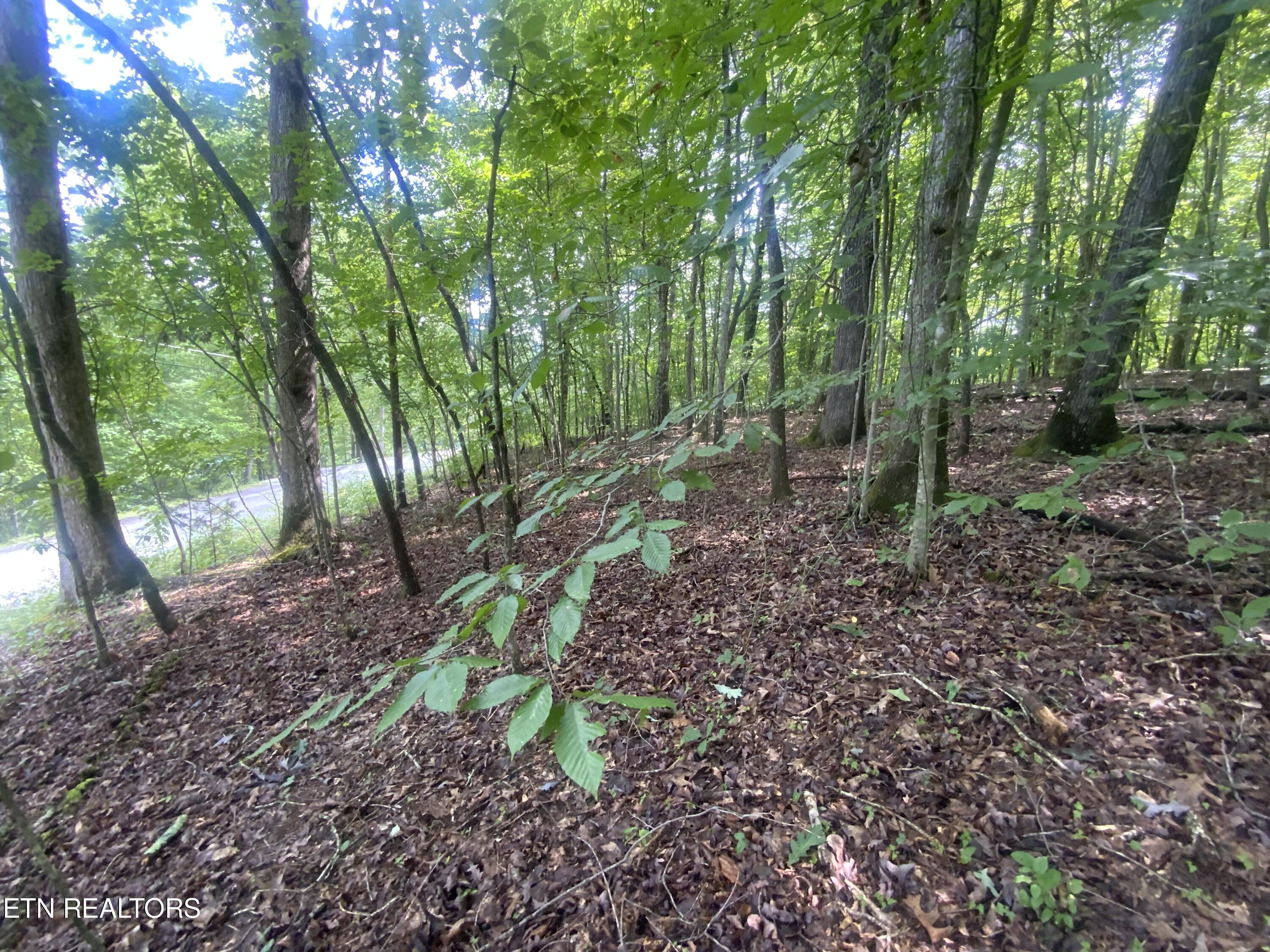 Lot 121 Hiwassee View Drive, Jacksboro, TN - Norris Lake Real Estate - Image# 10