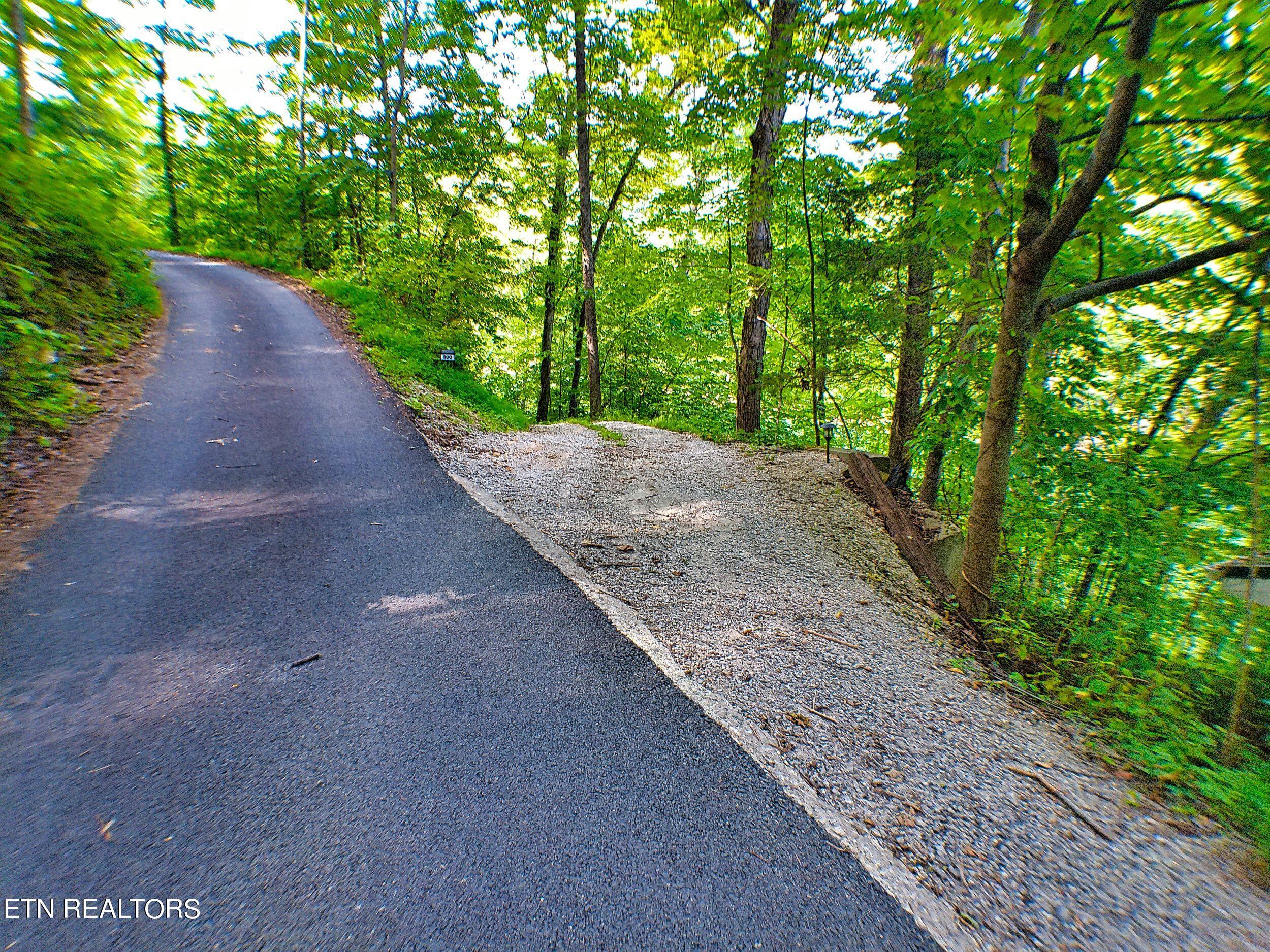 Lot 21a Hiawatha Lane, Caryville, TN - Norris Lake Real Estate - Image# 7