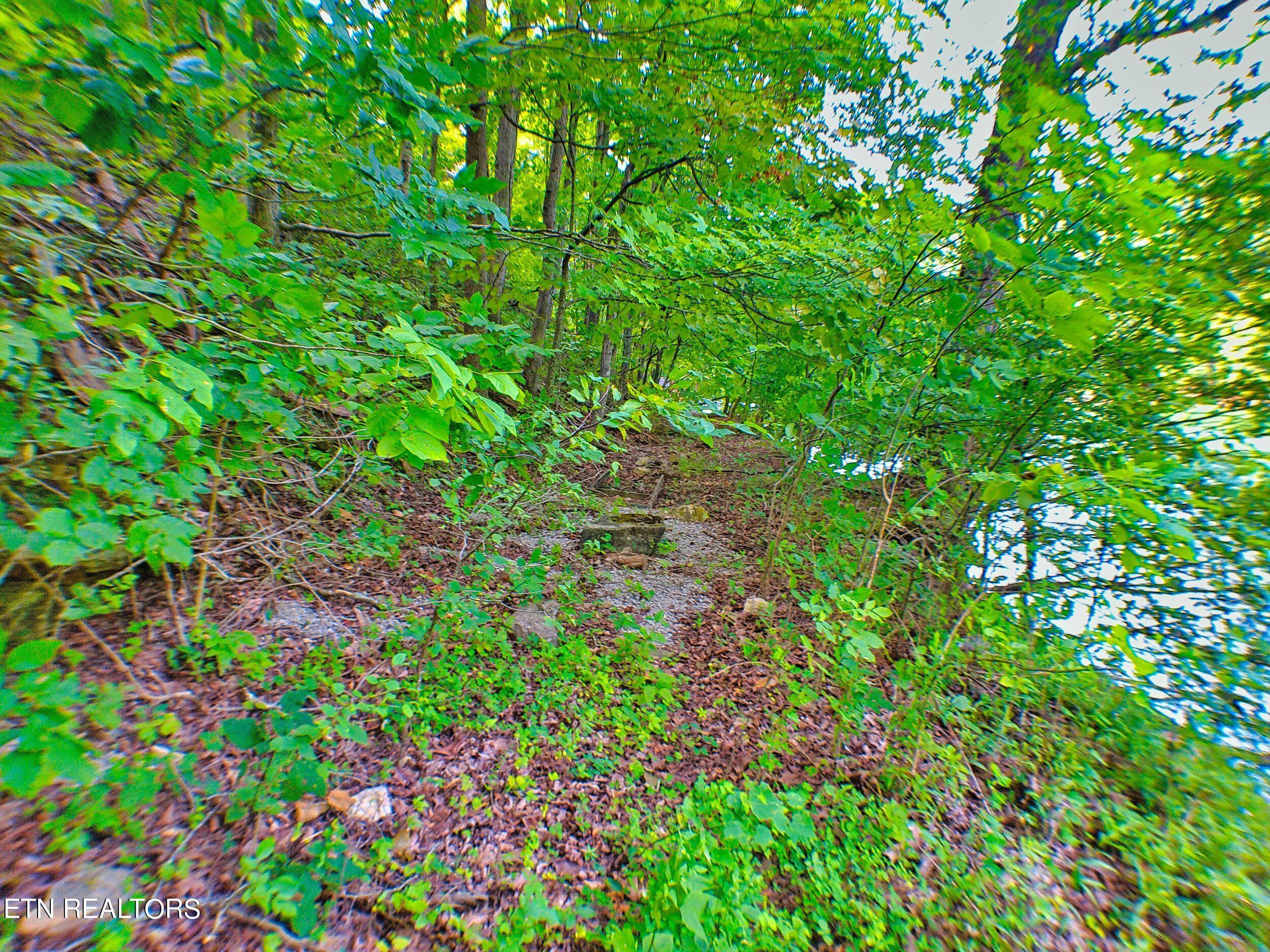 Lot 21a Hiawatha Lane, Caryville, TN - Norris Lake Real Estate - Image# 9
