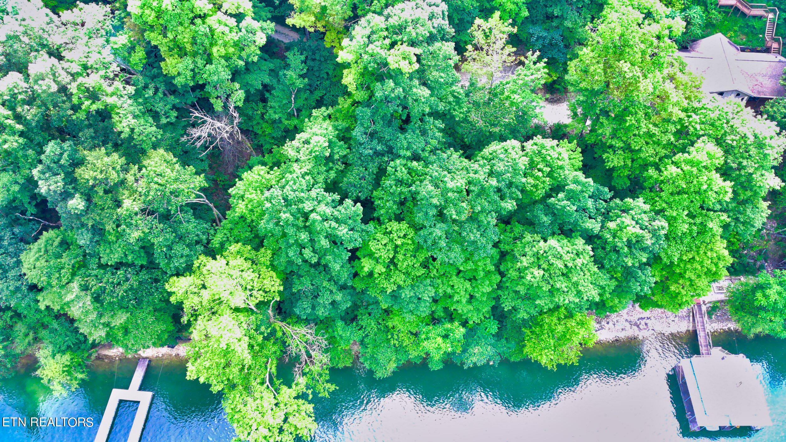 Lot 21a Hiawatha Lane, Caryville, TN - Norris Lake Real Estate - Image# 15