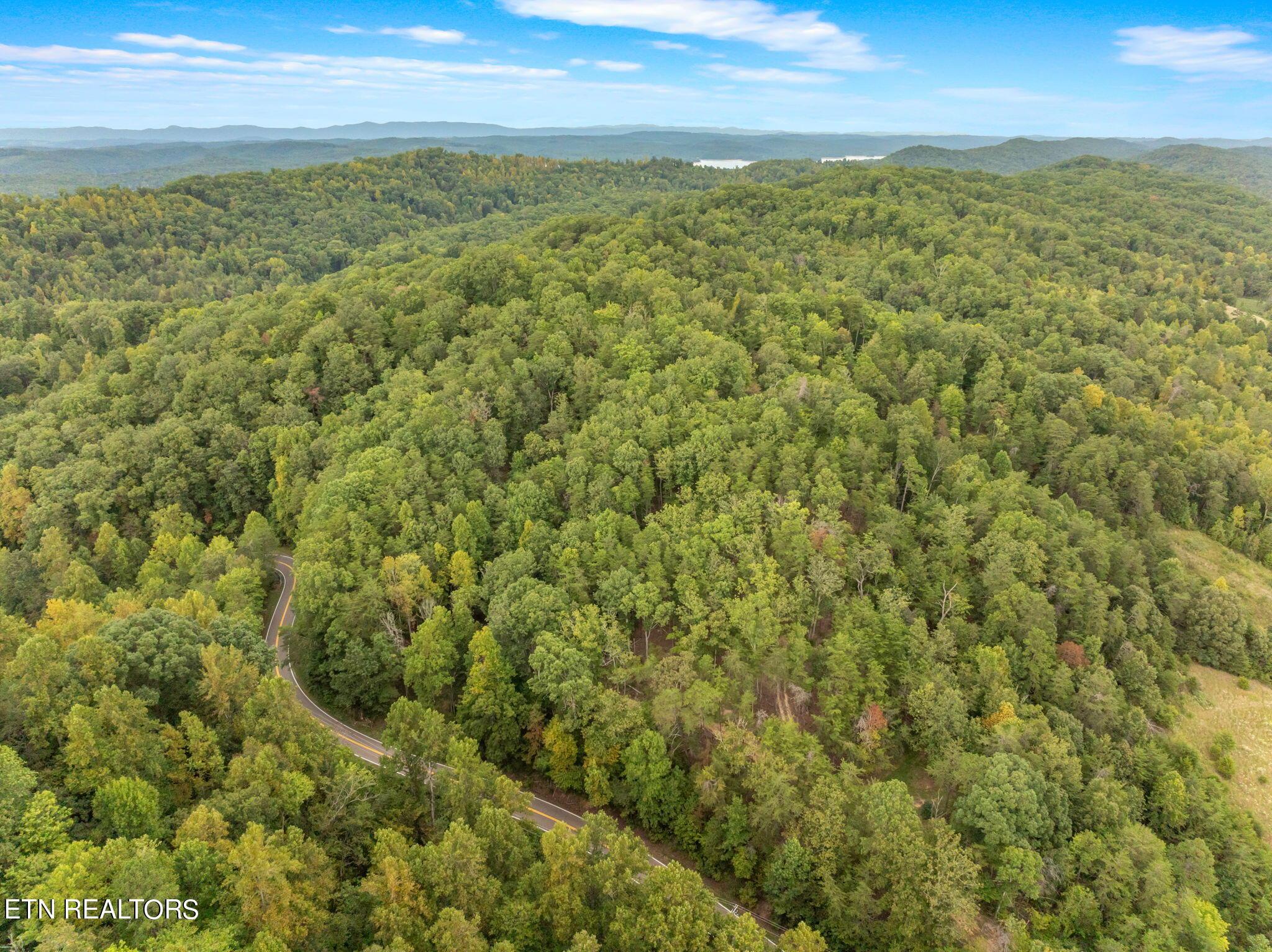 Norris Lake Real Estate - Image# 2