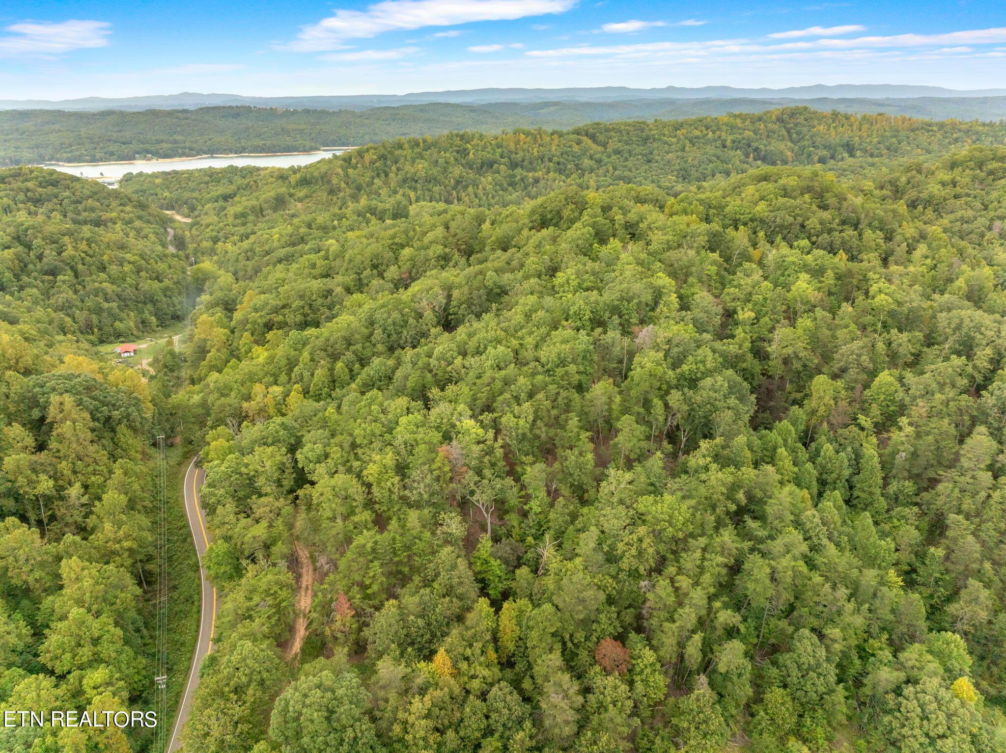 Norris Lake Real Estate - Image# 5