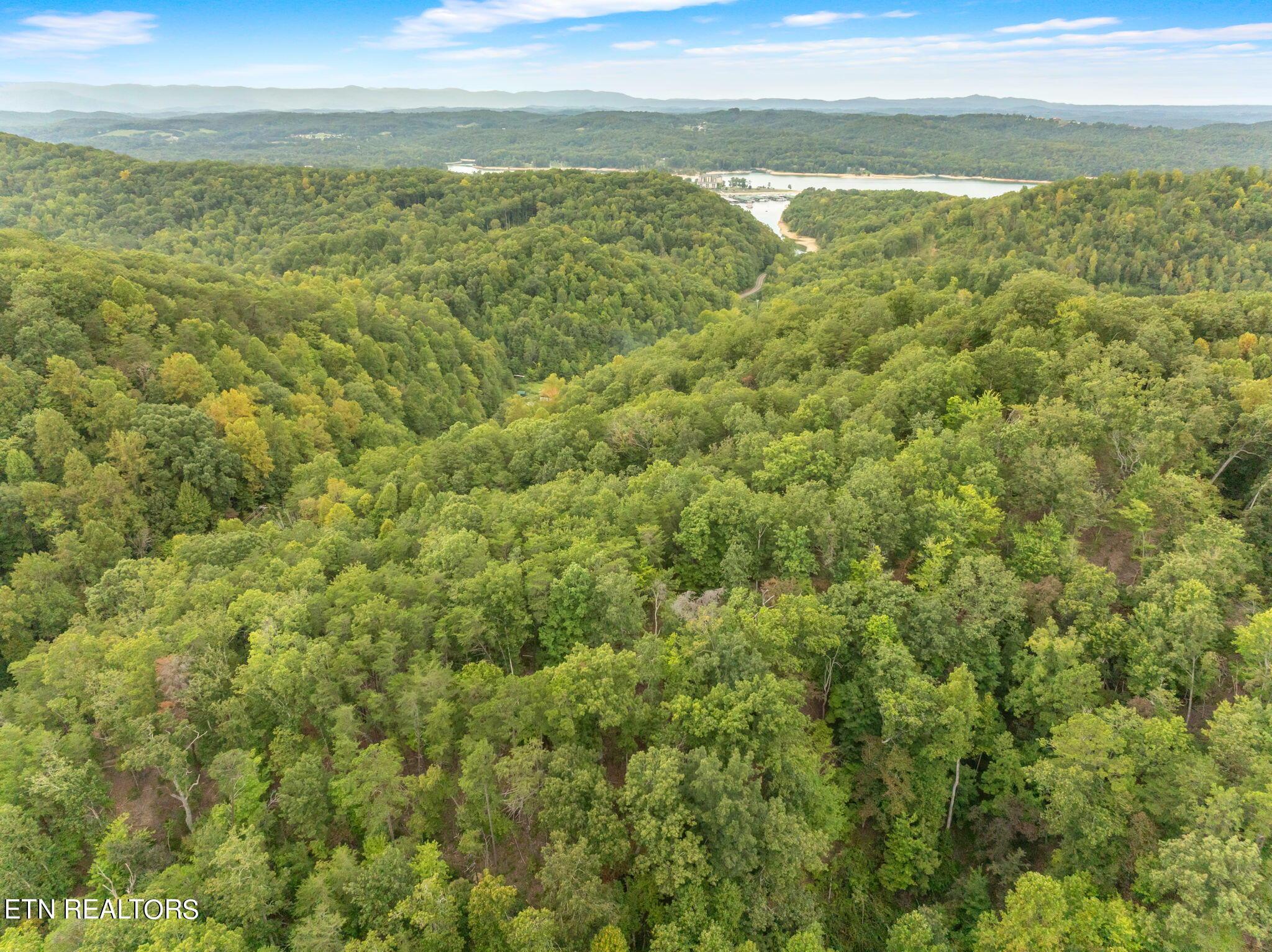 Norris Lake Real Estate - Image# 6