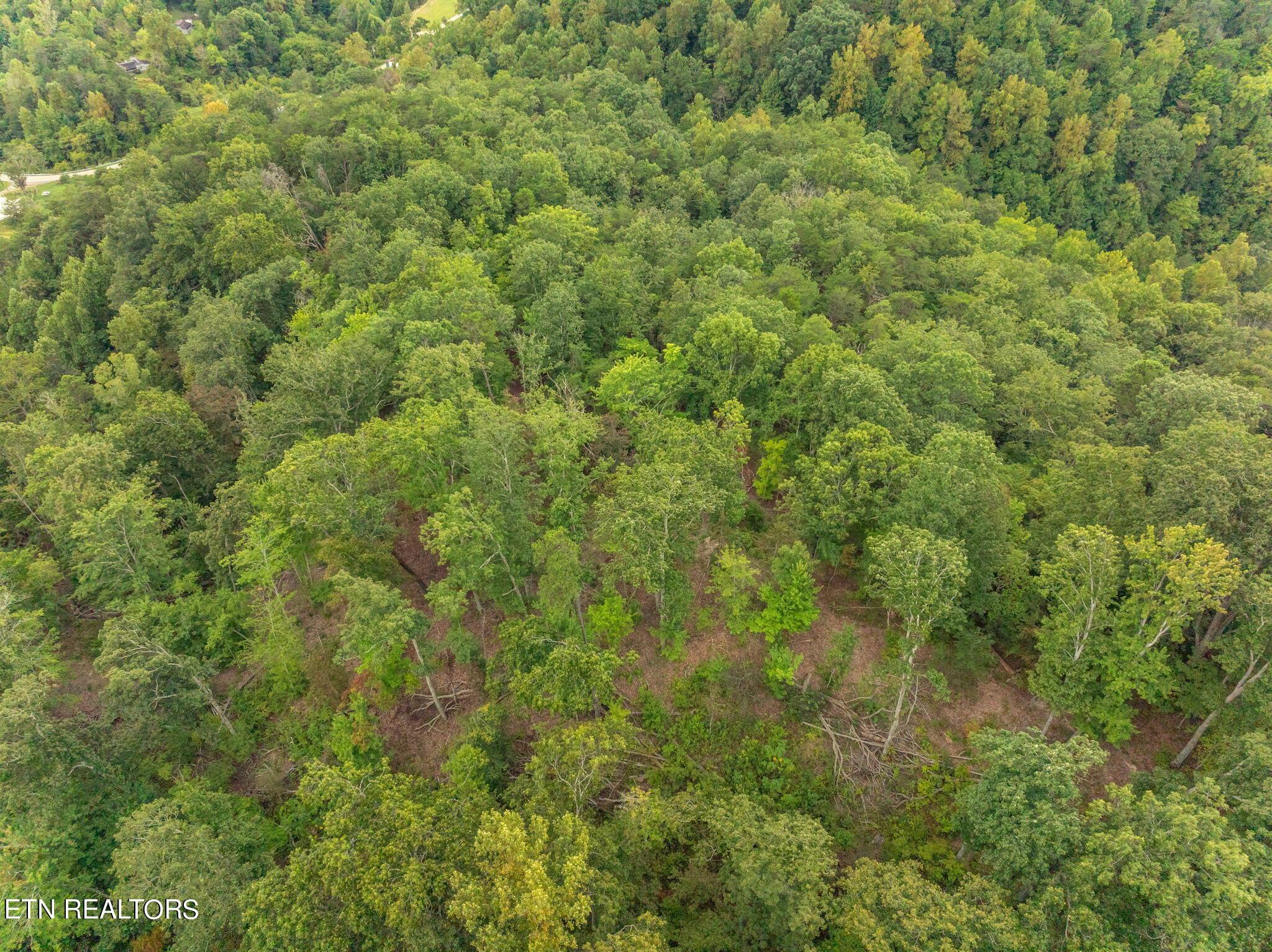 Norris Lake Real Estate - Image# 7