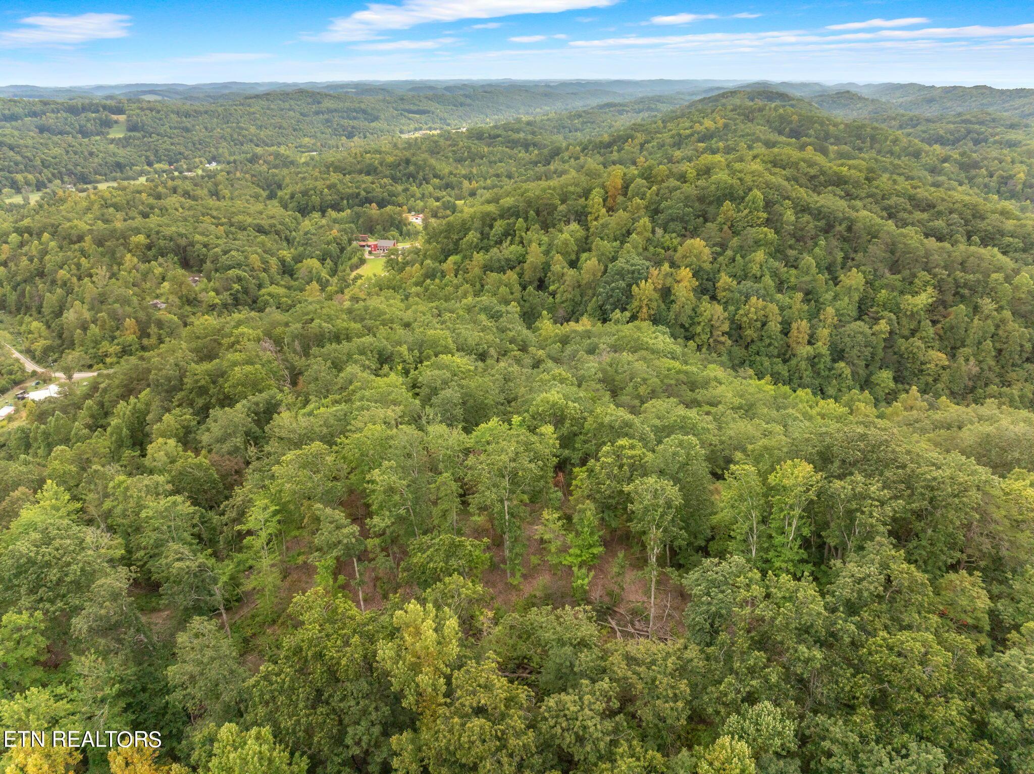 Norris Lake Real Estate - Image# 8