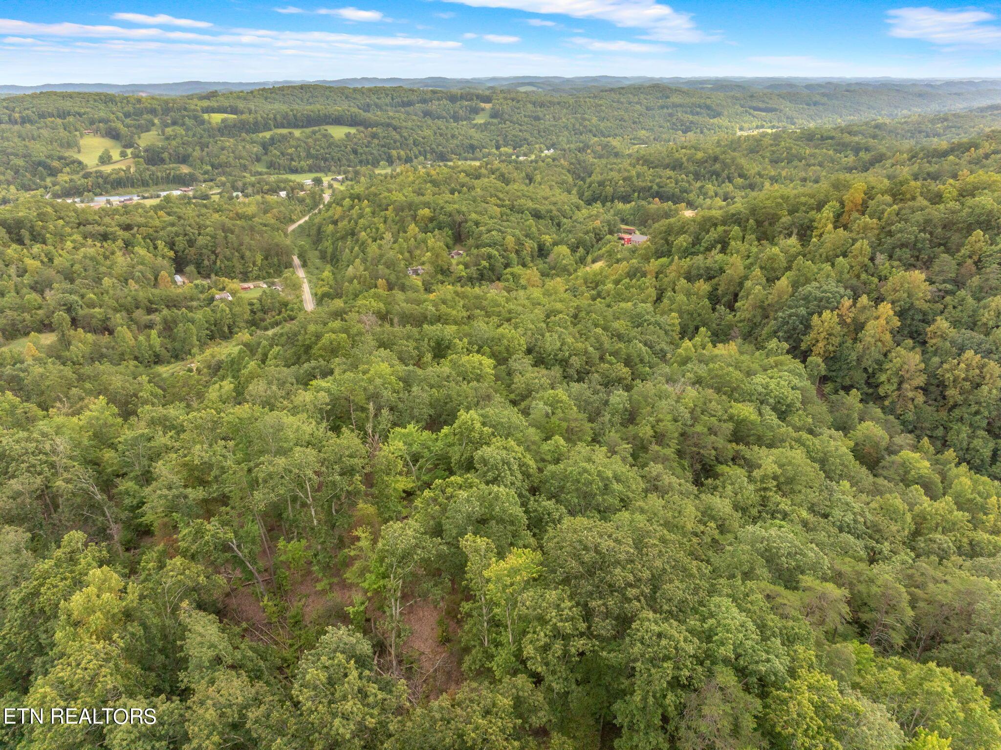 Norris Lake Real Estate - Image# 9