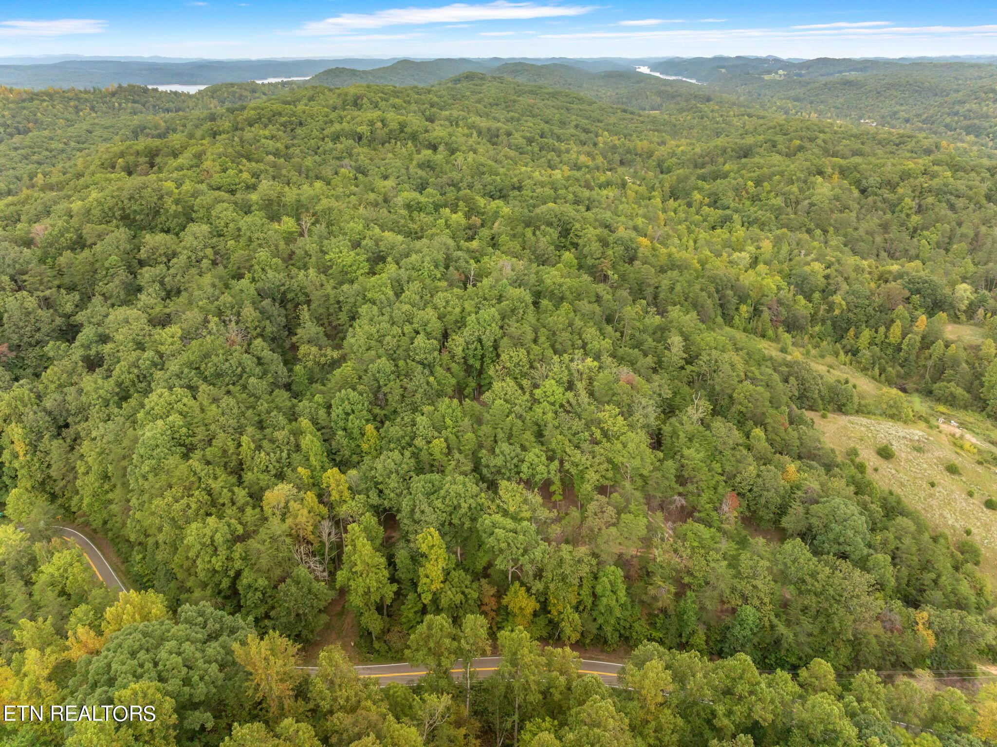 Norris Lake Real Estate - Image# 11