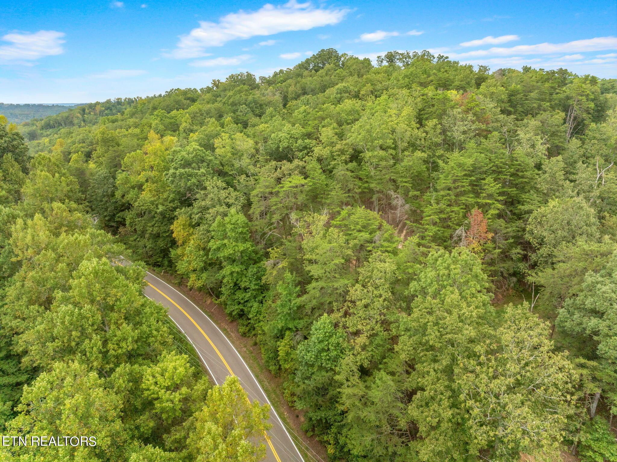 Norris Lake Real Estate - Image# 13