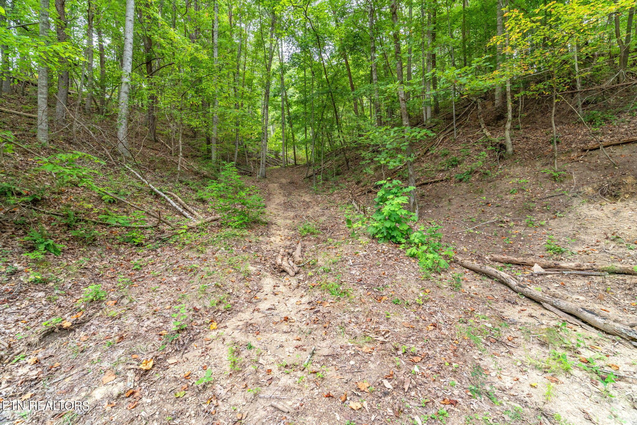 Norris Lake Real Estate - Image# 17