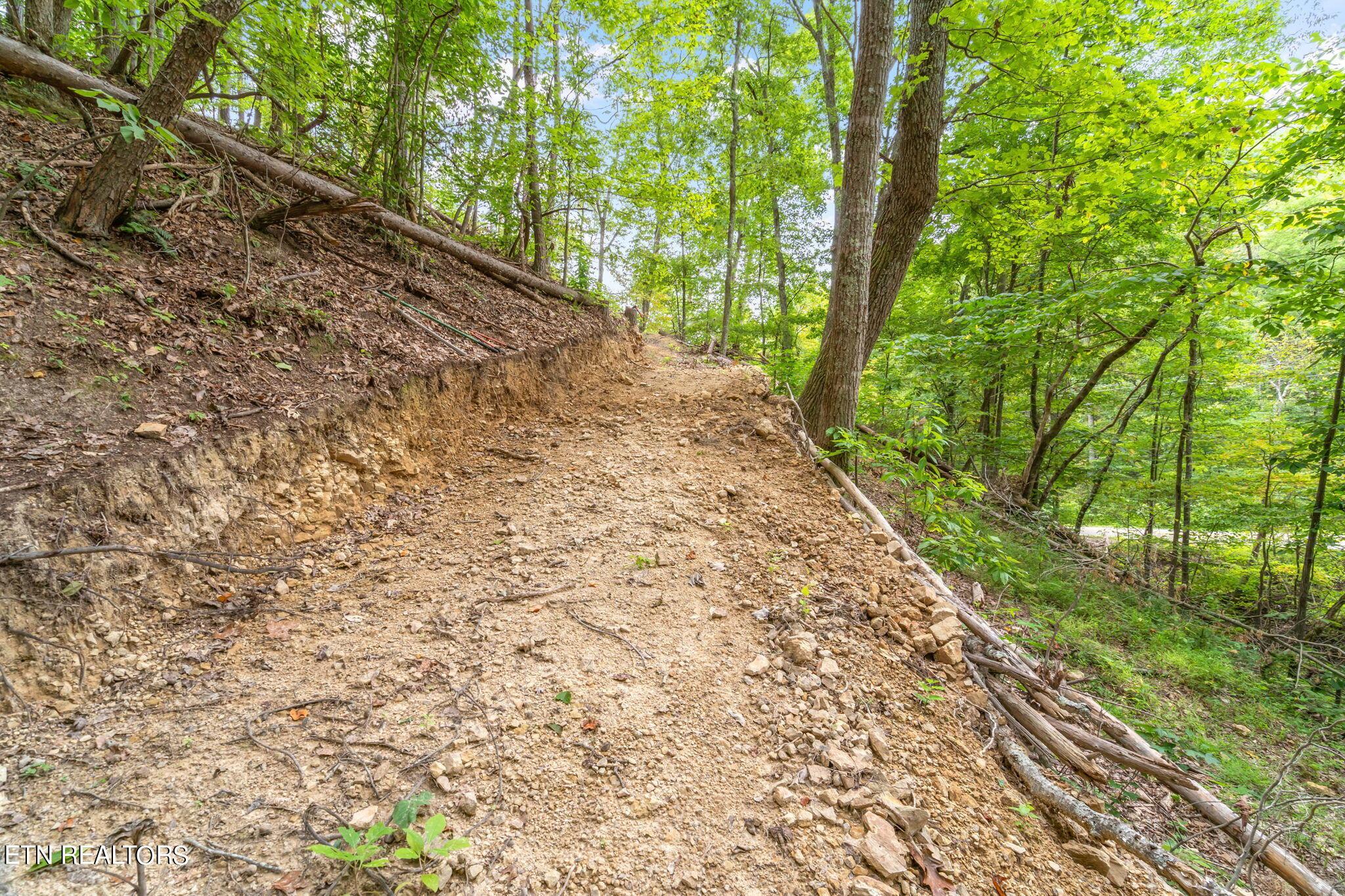 Norris Lake Real Estate - Image# 18