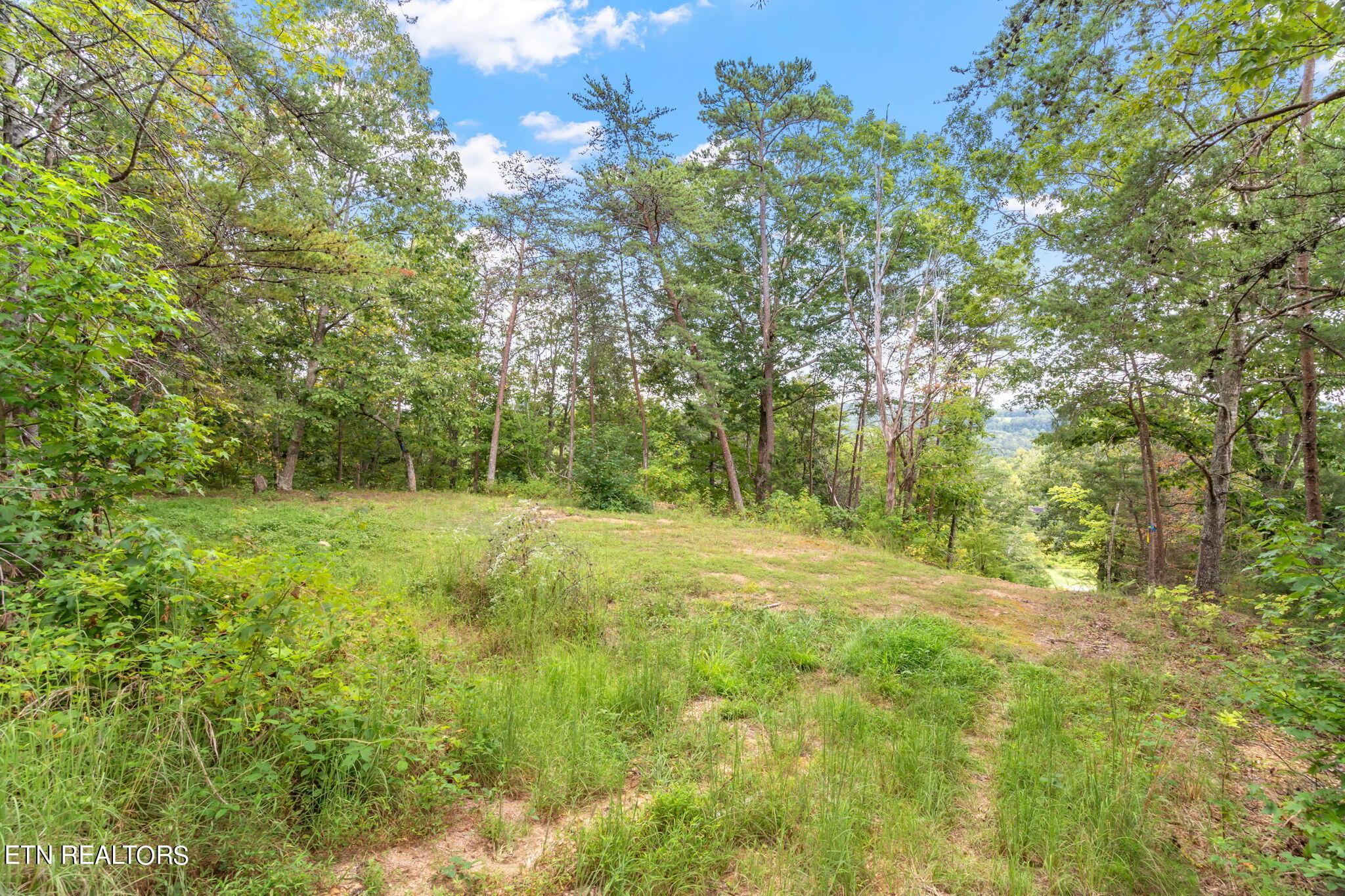 Norris Lake Real Estate - Image# 20