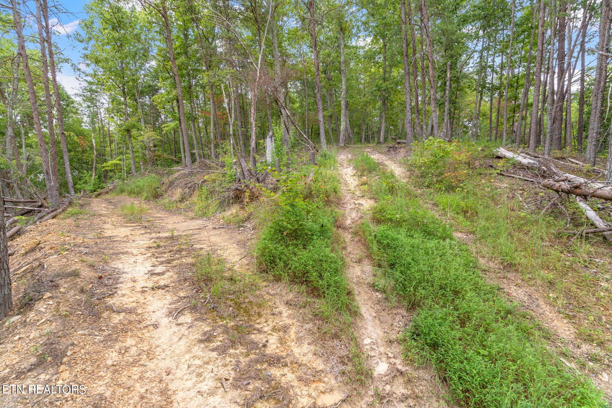 Norris Lake Real Estate - Image# 21