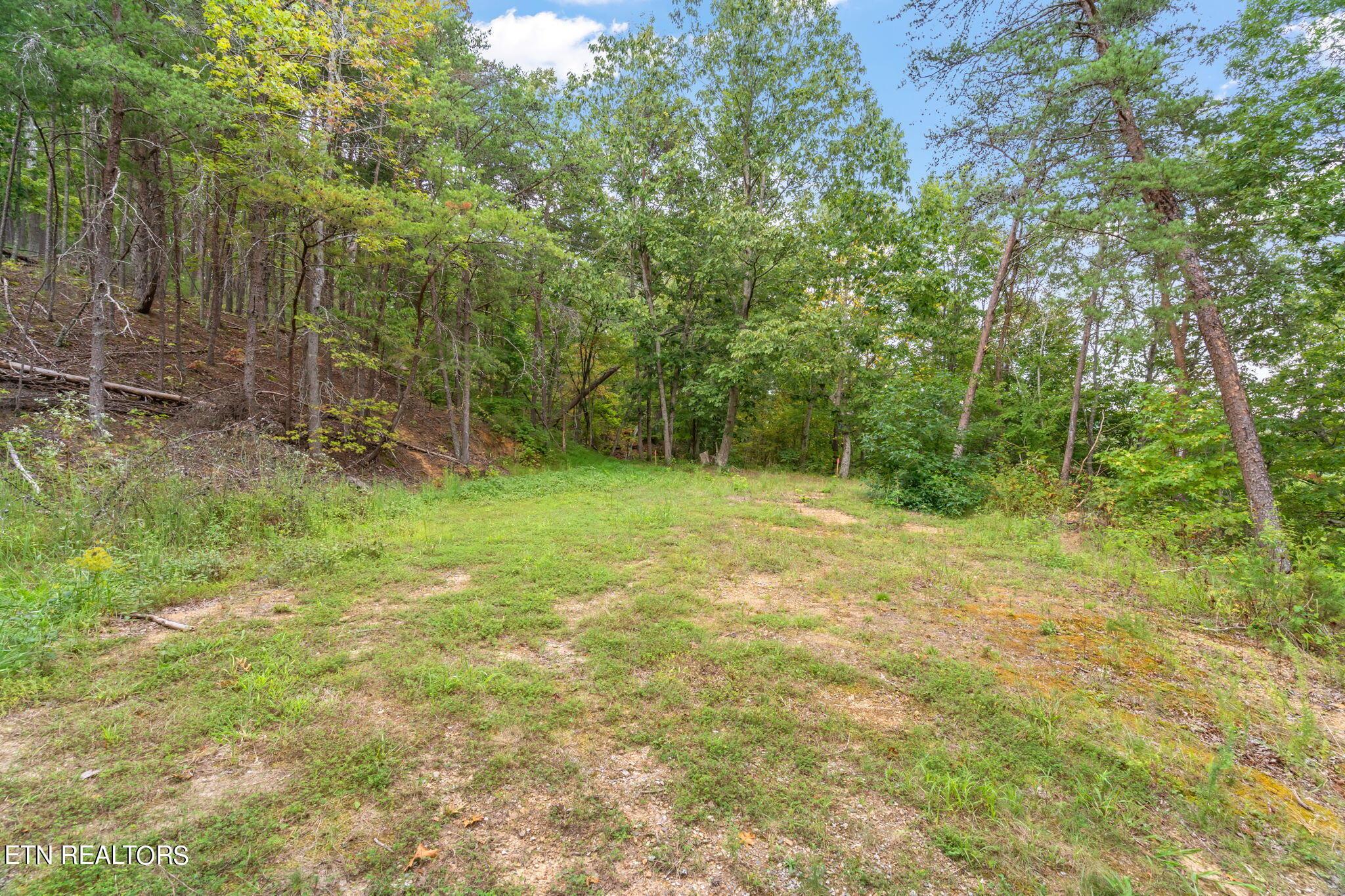 Norris Lake Real Estate - Image# 22
