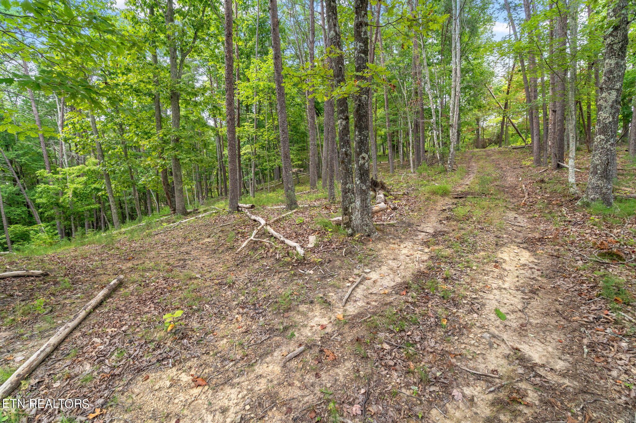 Norris Lake Real Estate - Image# 26