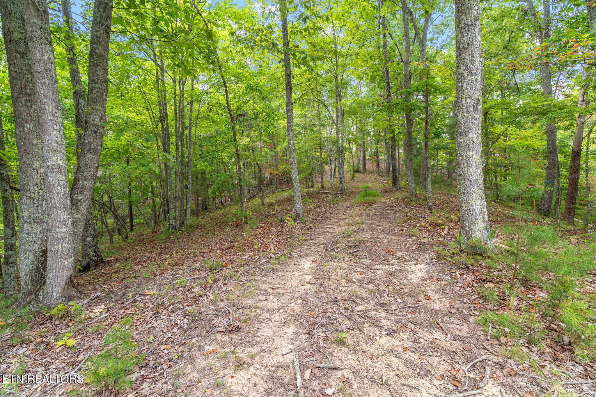 Norris Lake Real Estate - Image# 29