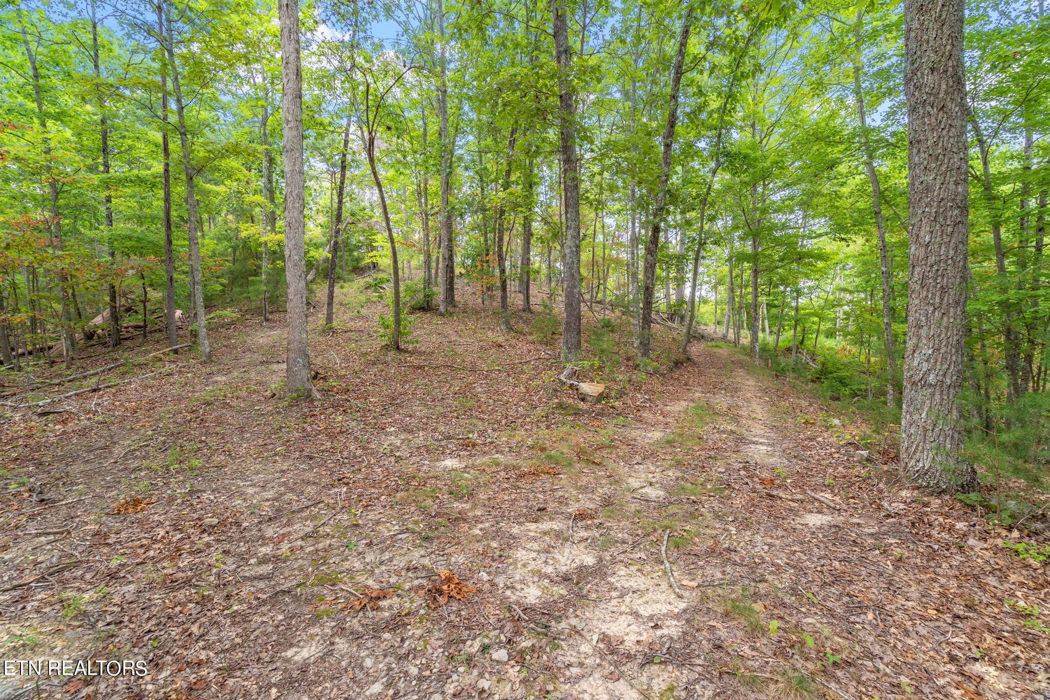 Norris Lake Real Estate - Image# 30